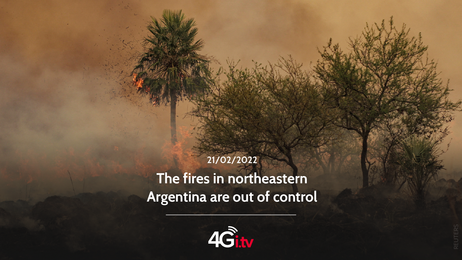 Подробнее о статье The fires in northeastern Argentina are out of control