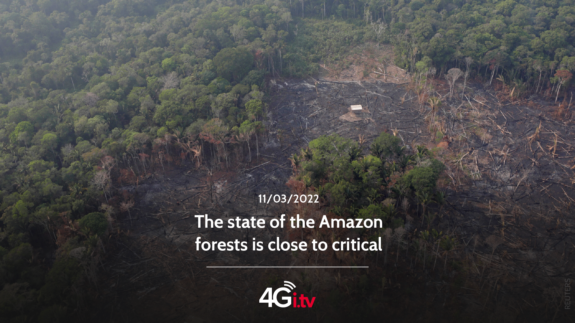 Lee más sobre el artículo The state of the Amazon forests is close to critical