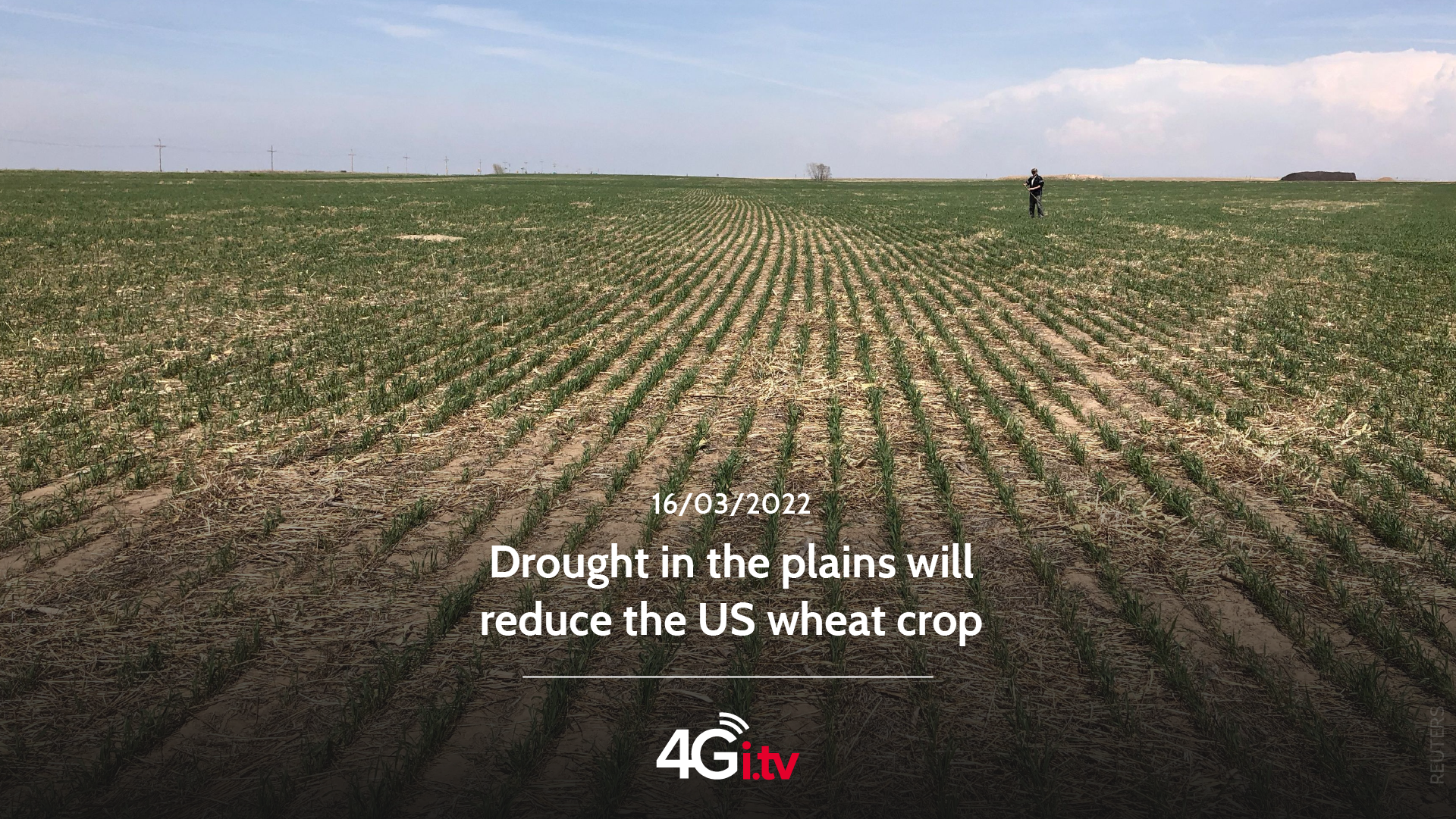 Lee más sobre el artículo Drought in the plains will reduce the US wheat crop