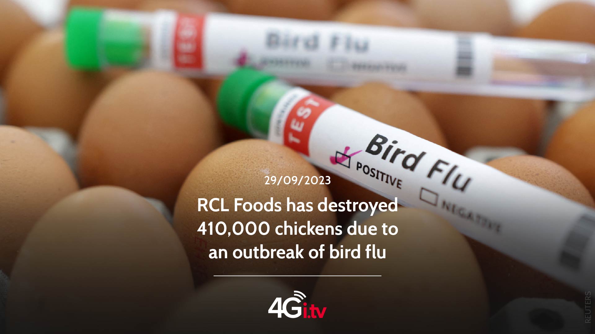 Read more about the article RCL Foods has destroyed 410,000 chickens due to an outbreak of bird flu