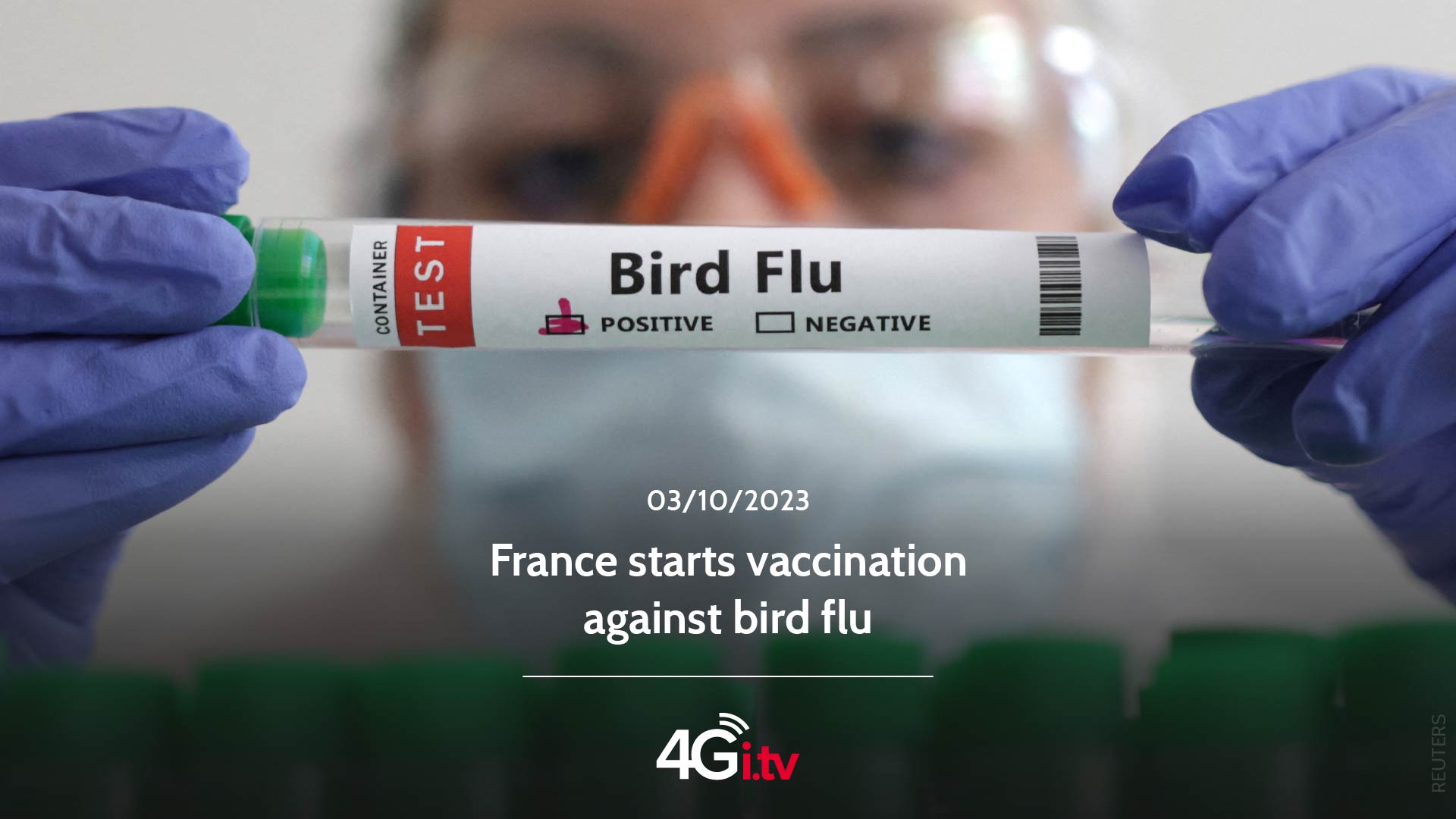 Lee más sobre el artículo France starts vaccination against bird flu