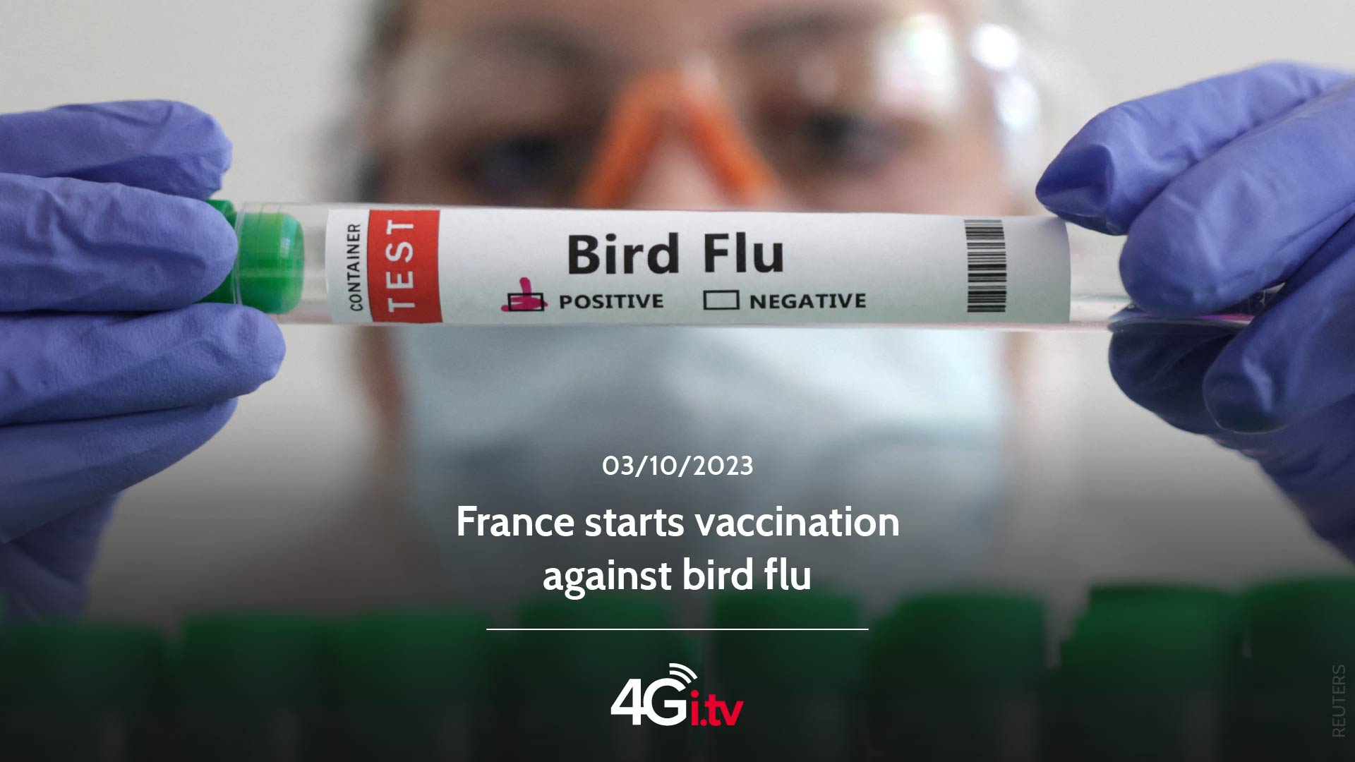 Подробнее о статье France starts vaccination against bird flu