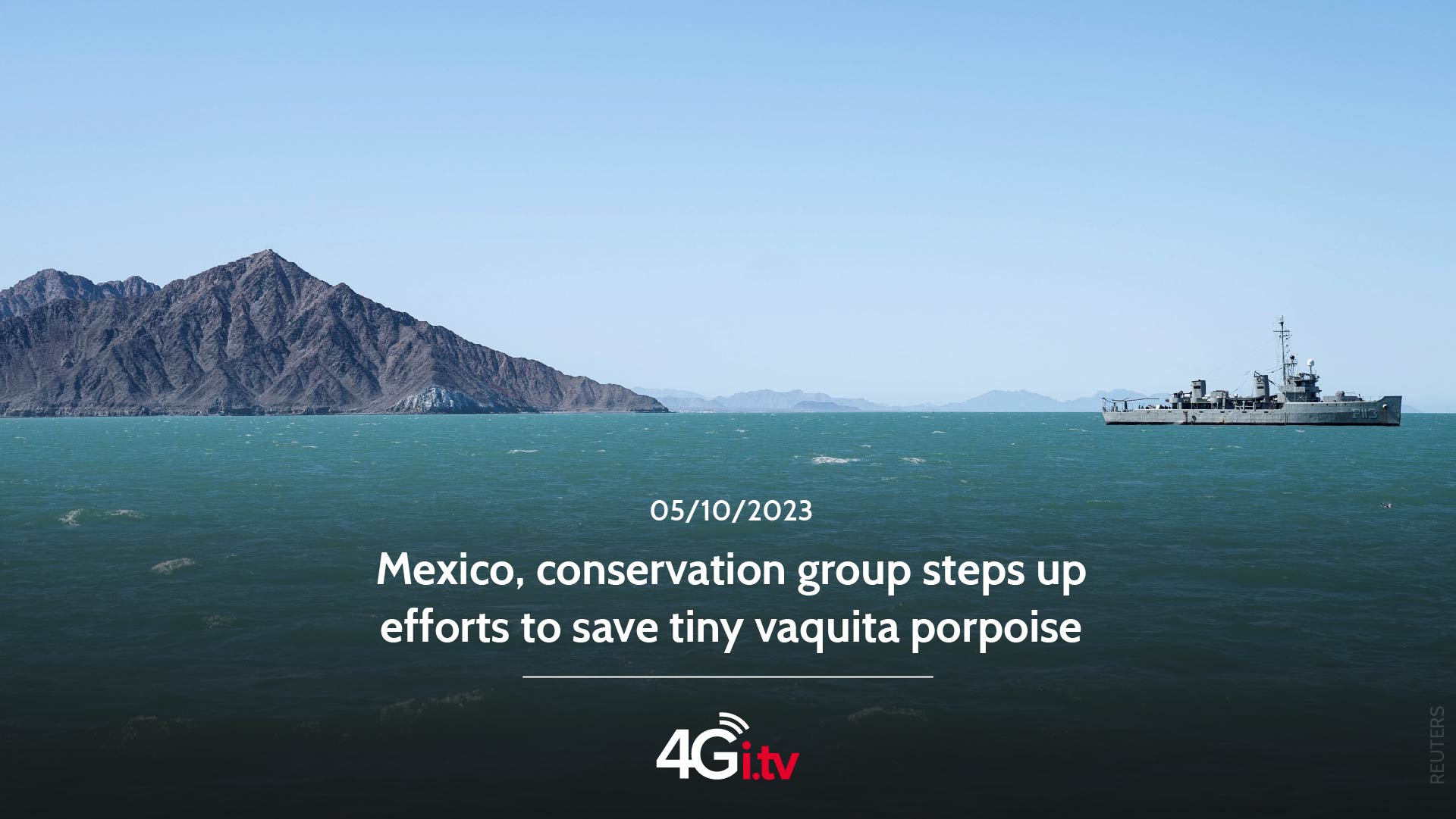 Lesen Sie mehr über den Artikel Mexico, conservation group steps up efforts to save tiny vaquita porpoise