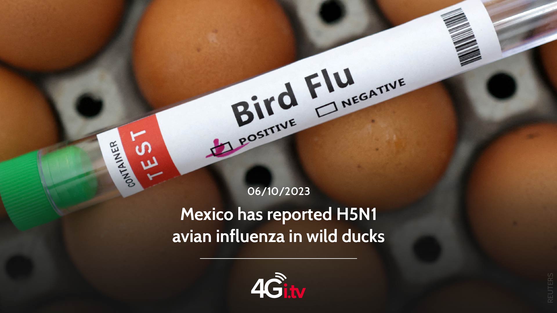 Read more about the article Mexico has reported H5N1 avian influenza in wild ducks
