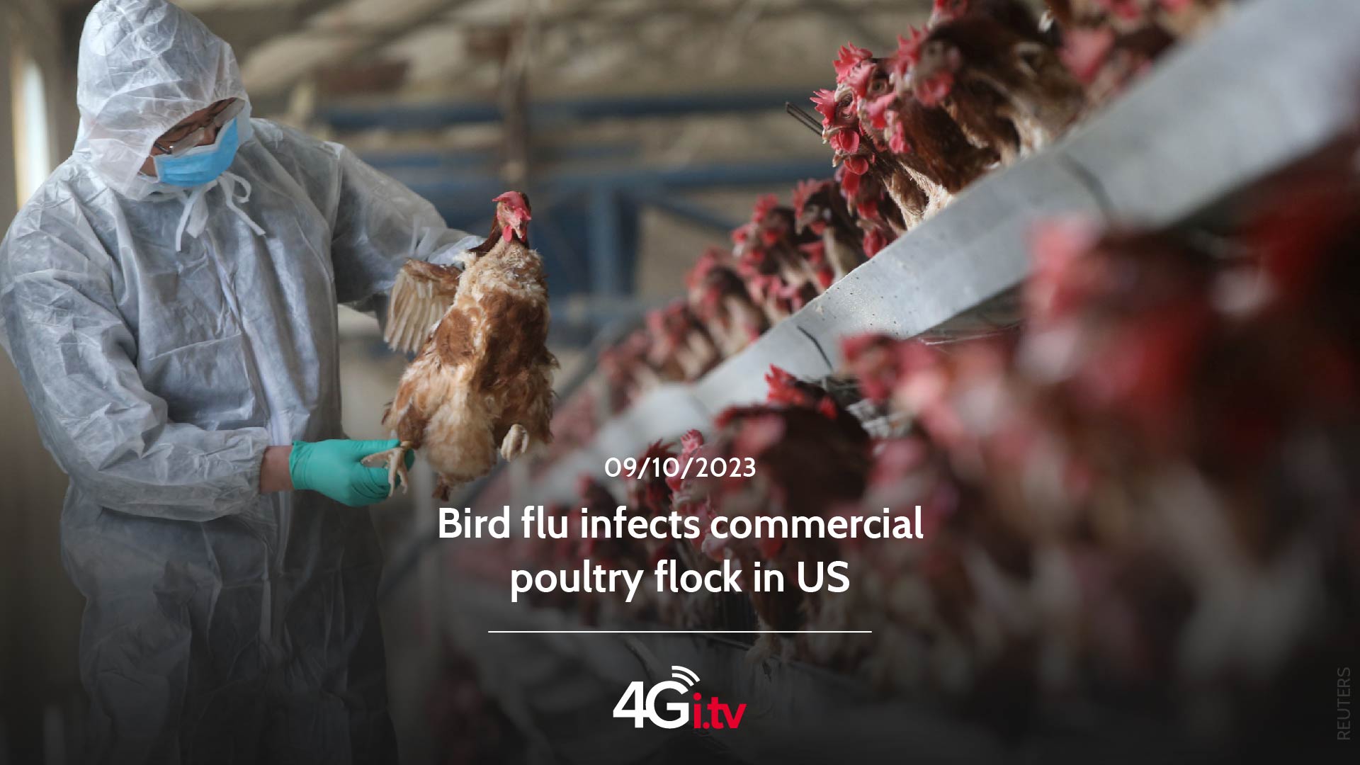 Read more about the article Bird flu infects commercial poultry flock in US