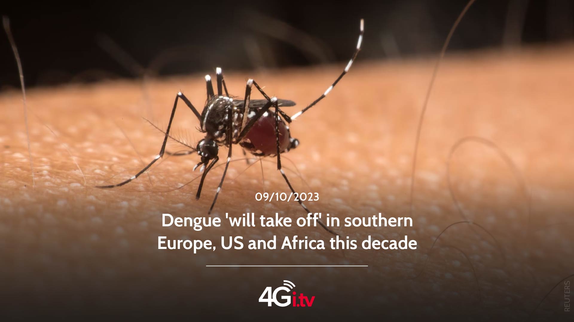 Lesen Sie mehr über den Artikel Dengue ‘will take off’ in southern Europe, US and Africa this decade