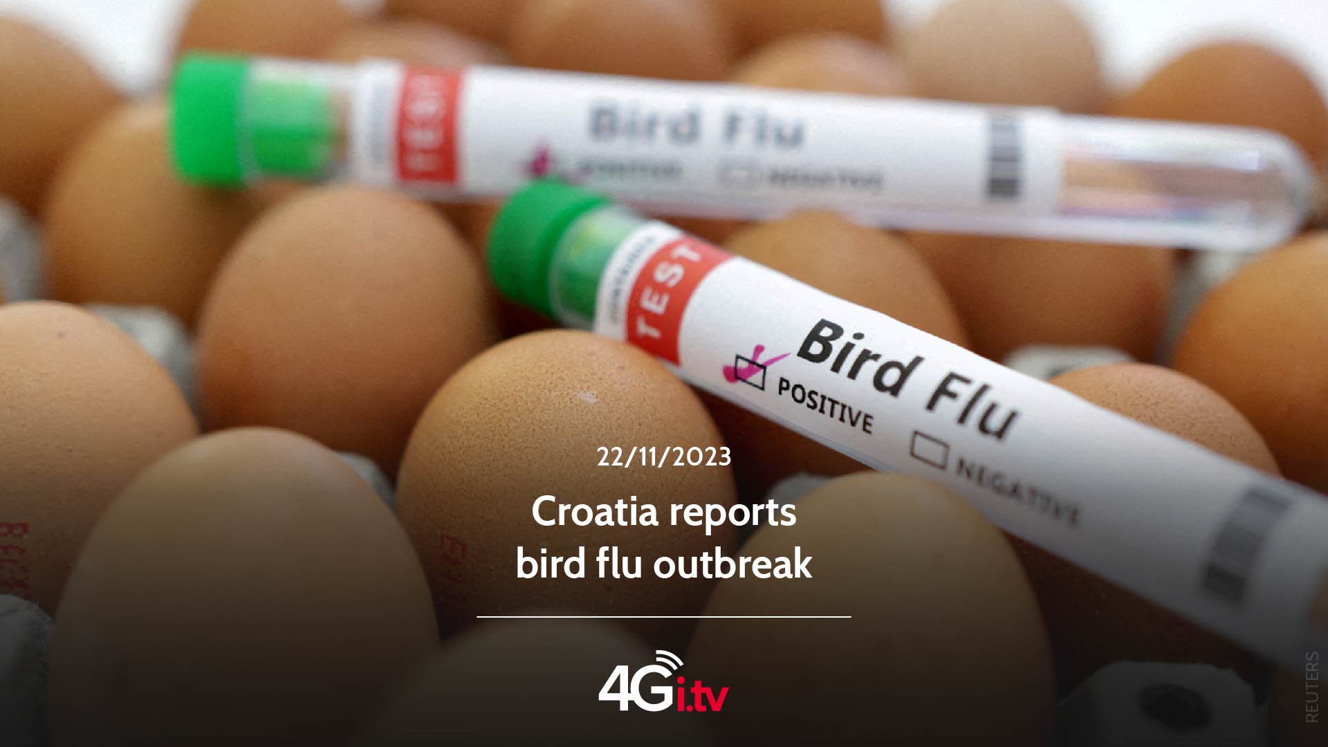 Lesen Sie mehr über den Artikel Croatia reports bird flu outbreak