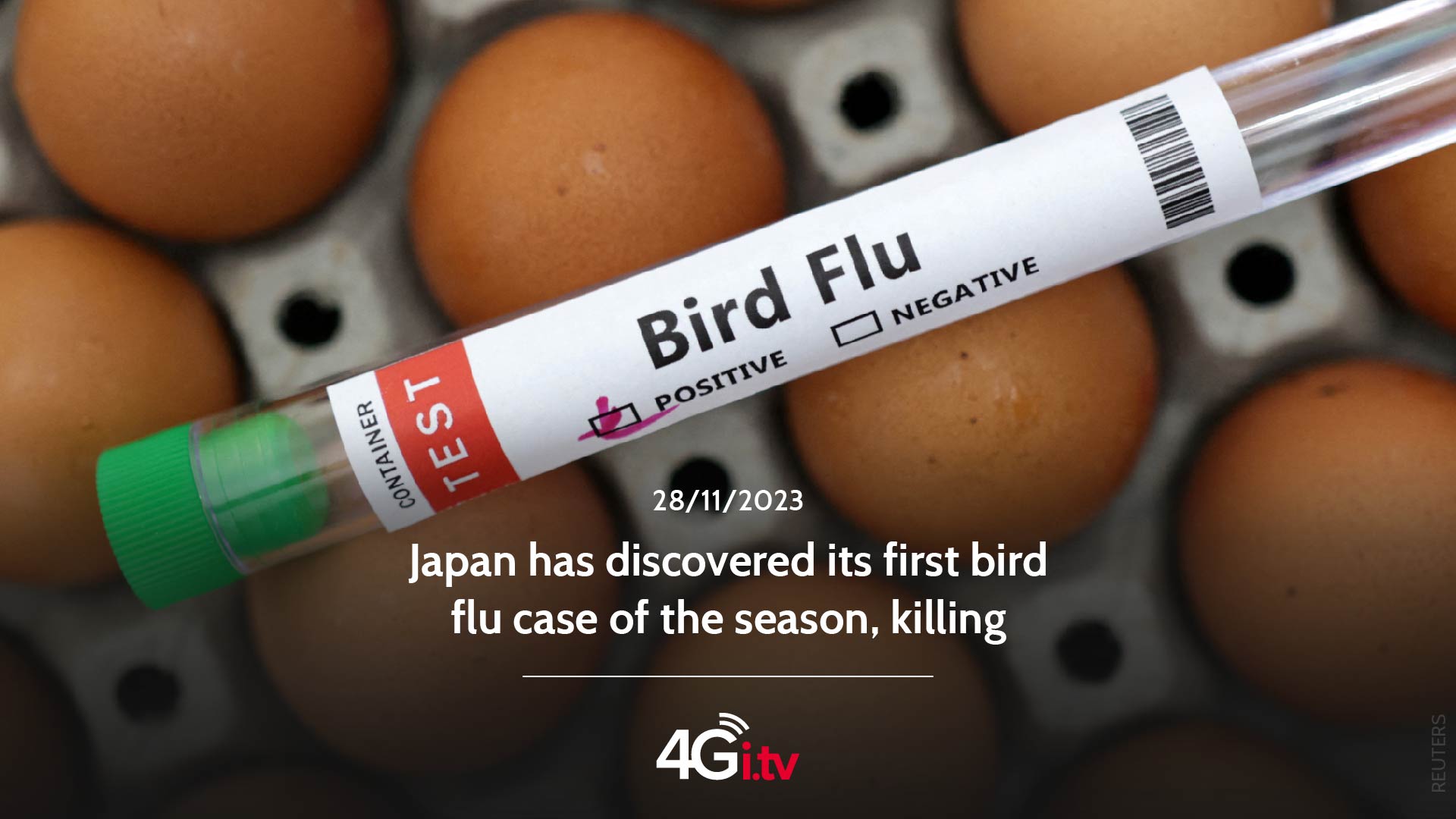 Read more about the article Japan has discovered its first bird flu case of the season, killing