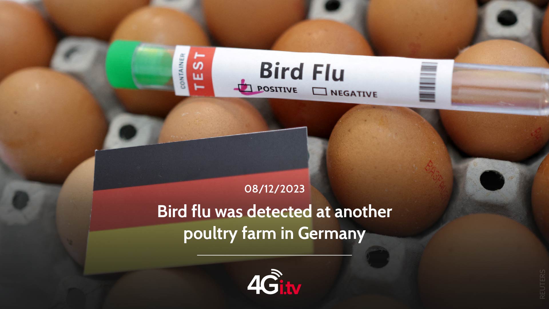 Read more about the article Bird flu was detected at another poultry farm in Germany