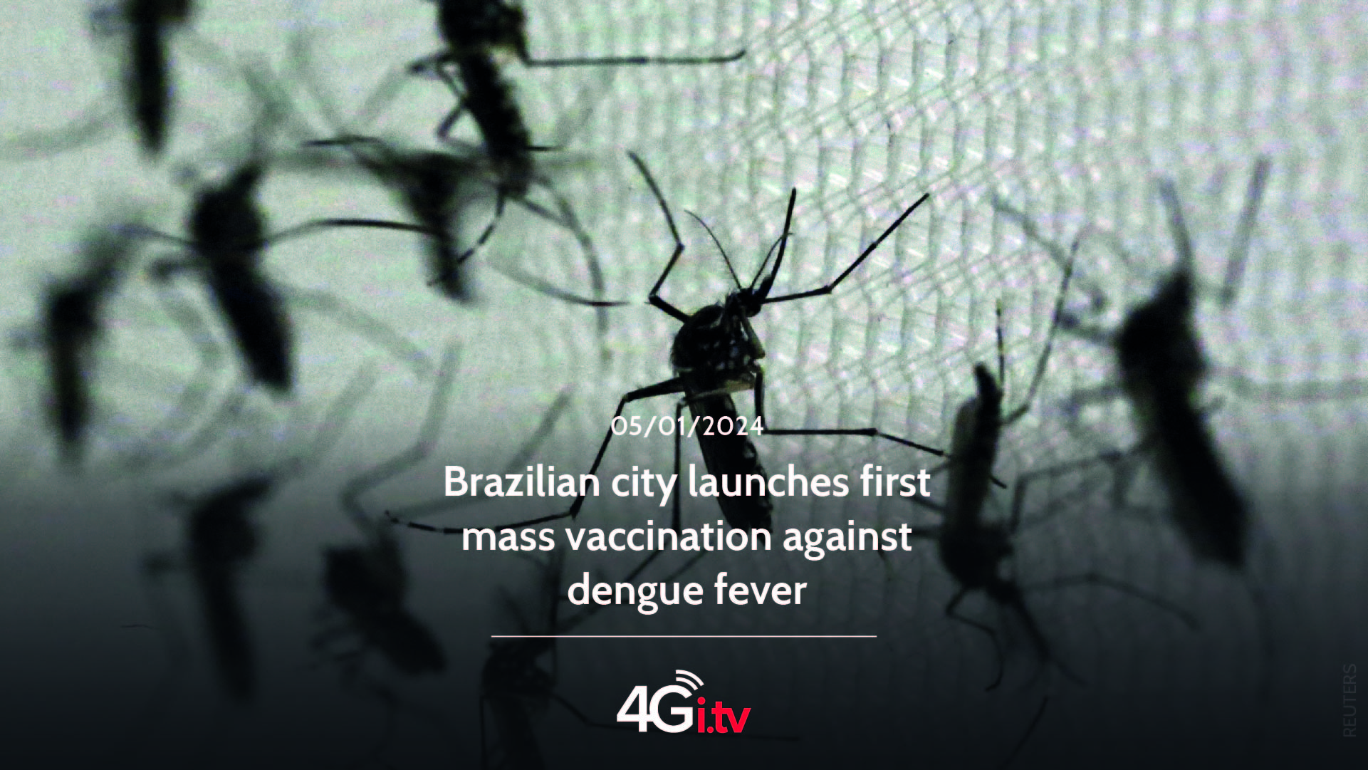 Подробнее о статье Brazilian city launches first mass vaccination against dengue fever