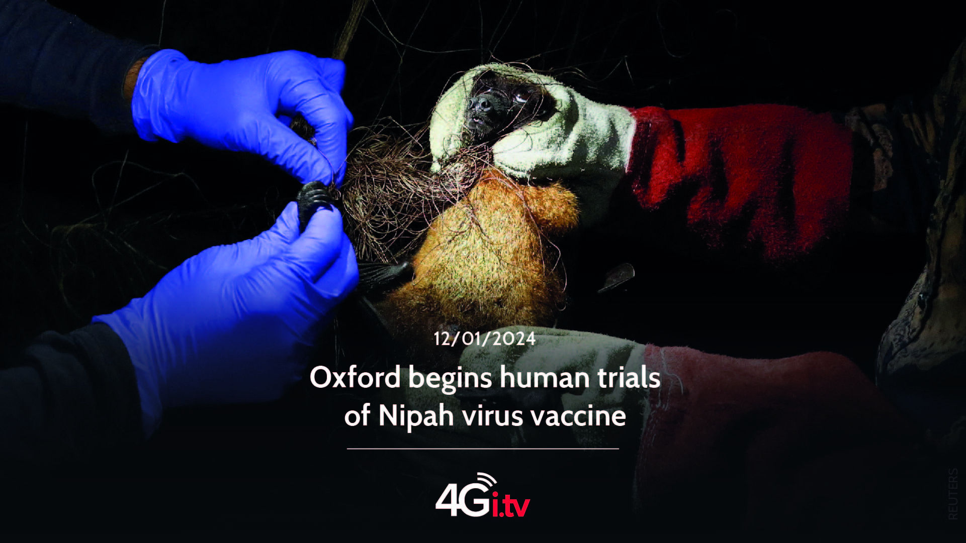 Read more about the article Oxford begins human trials of Nipah virus vaccine