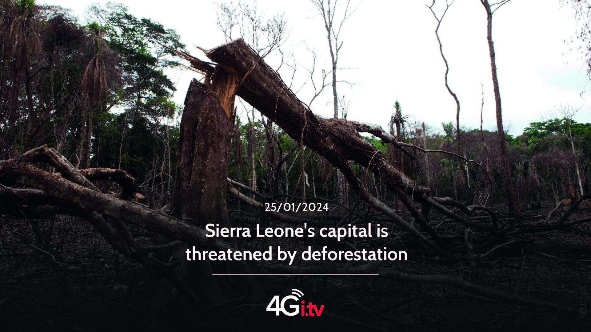 Подробнее о статье Sierra Leone’s capital is threatened by deforestation