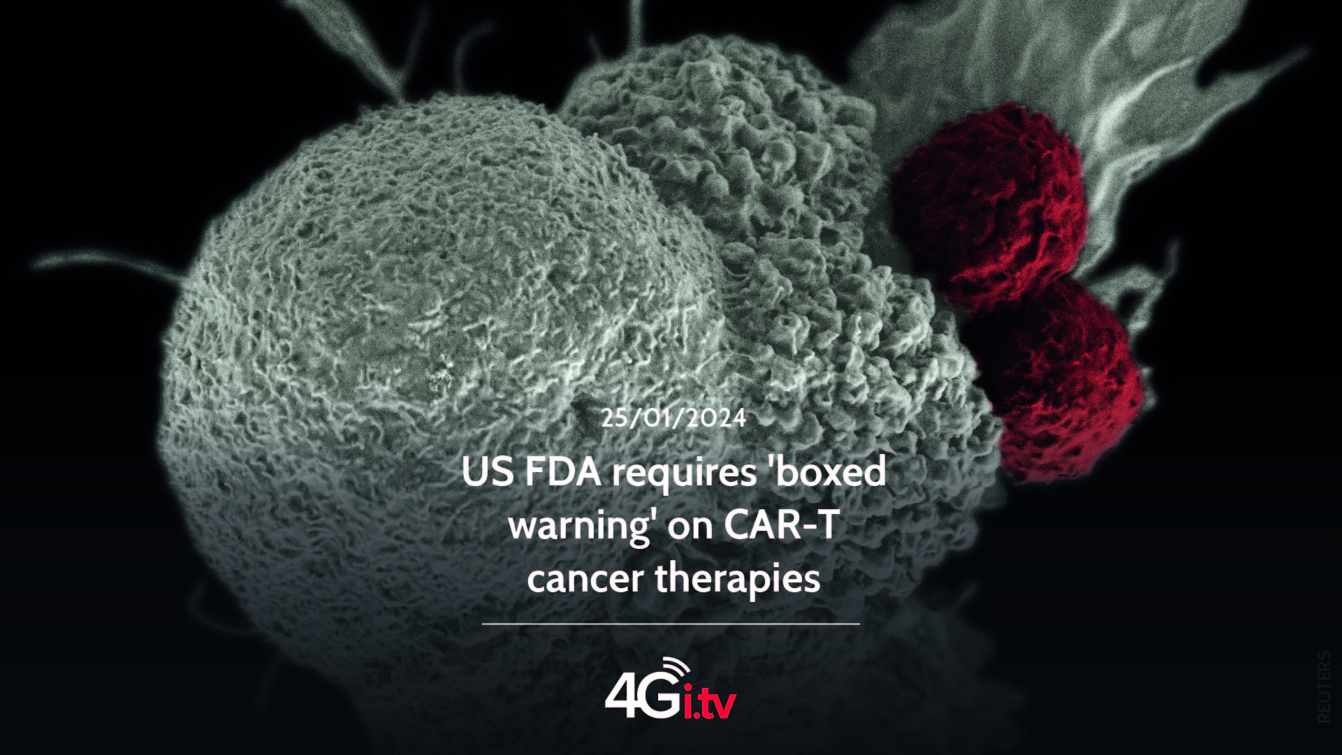 Подробнее о статье US FDA requires ‘boxed warning’ on CAR-T cancer therapies