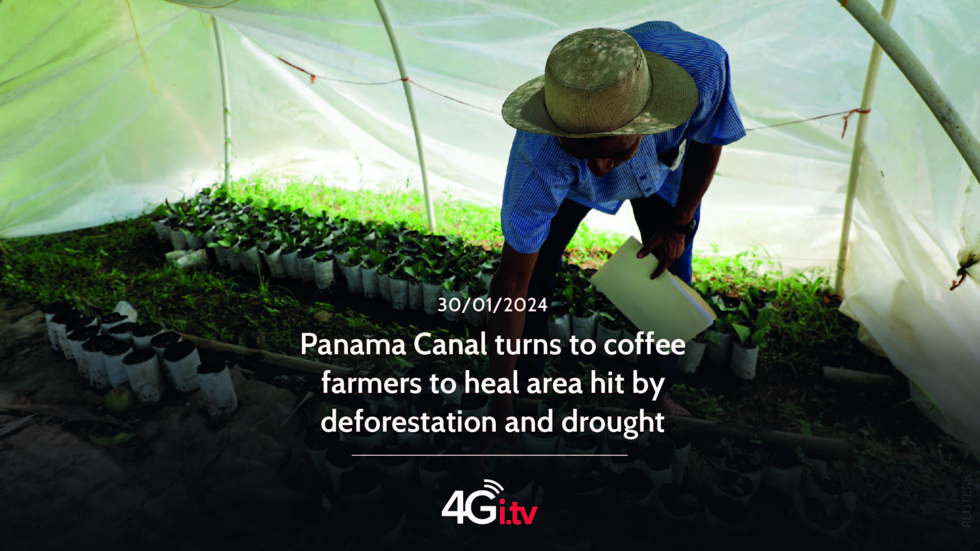 Lee más sobre el artículo Panama Canal turns to coffee farmers to heal area hit by deforestation and drought