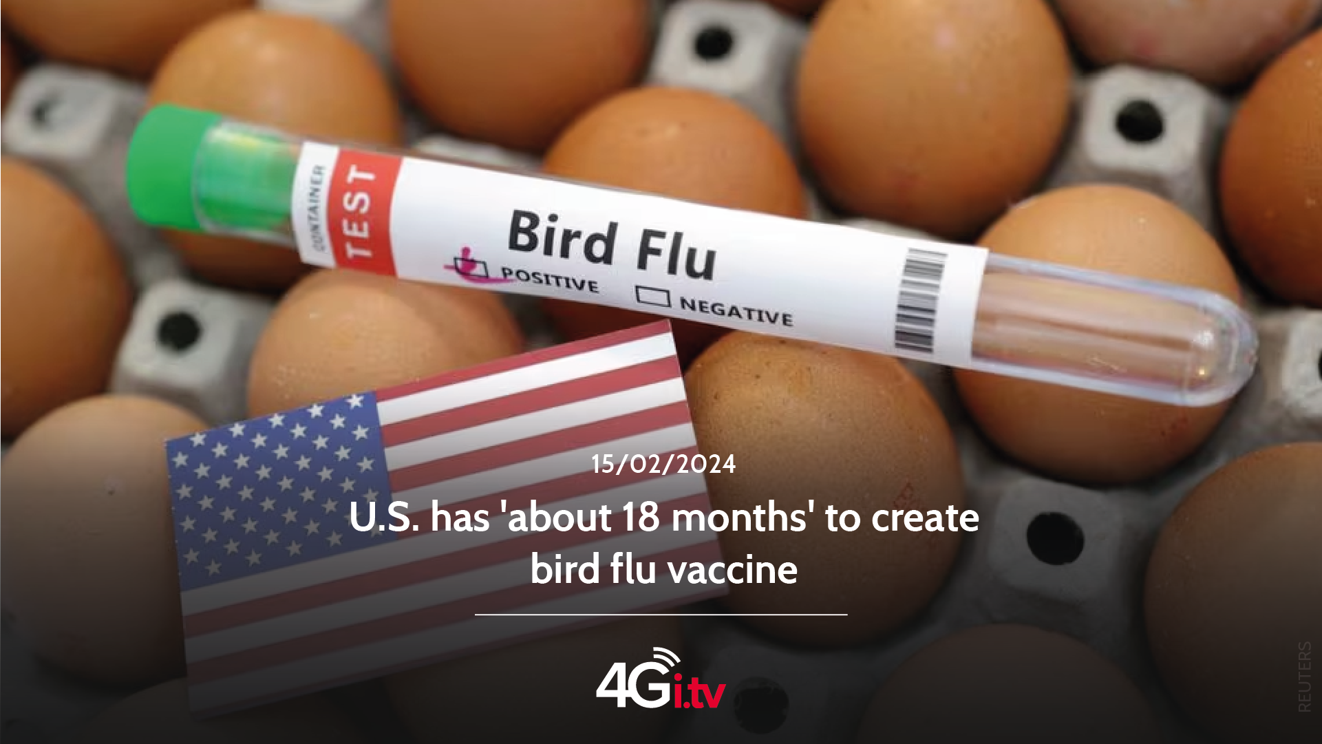 Read more about the article U.S. has ‘about 18 months’ to create bird flu vaccine 