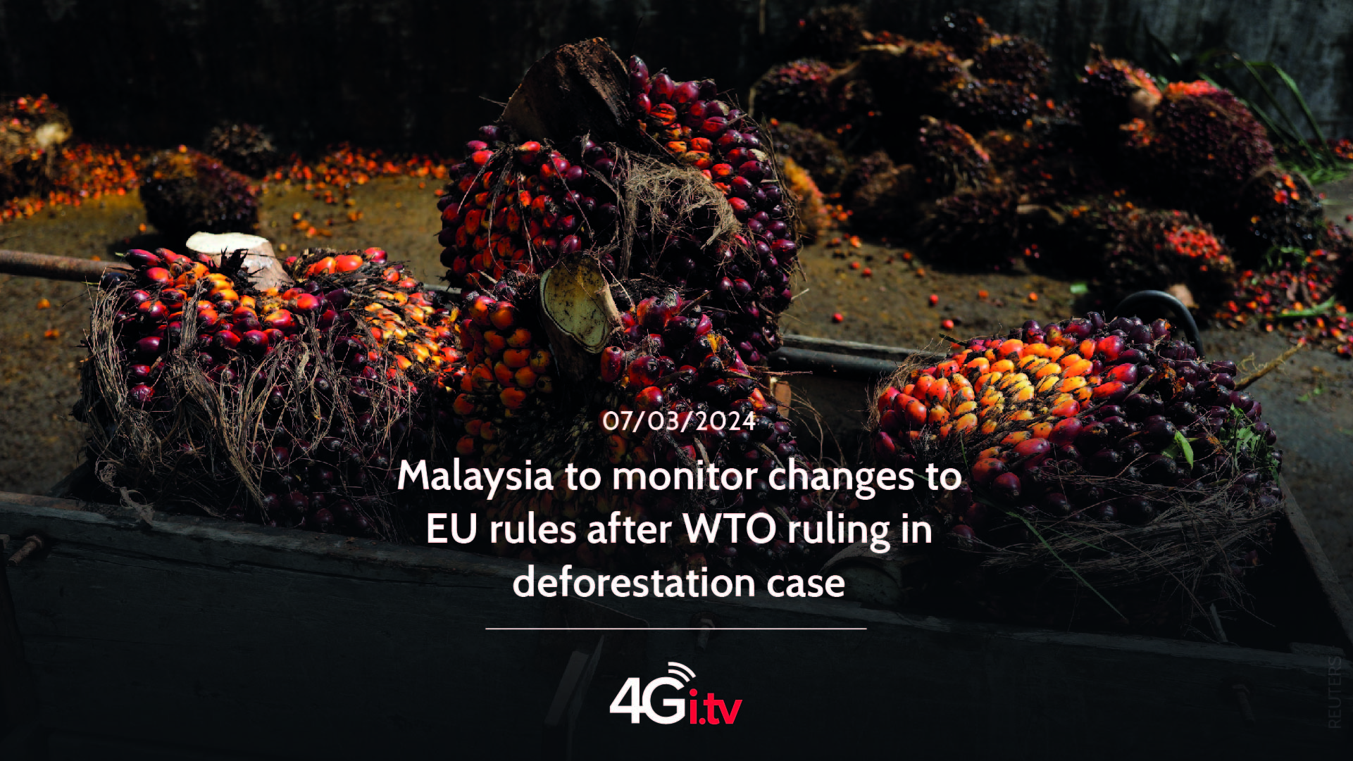 Lee más sobre el artículo Malaysia to monitor changes to EU rules after WTO ruling in deforestation case