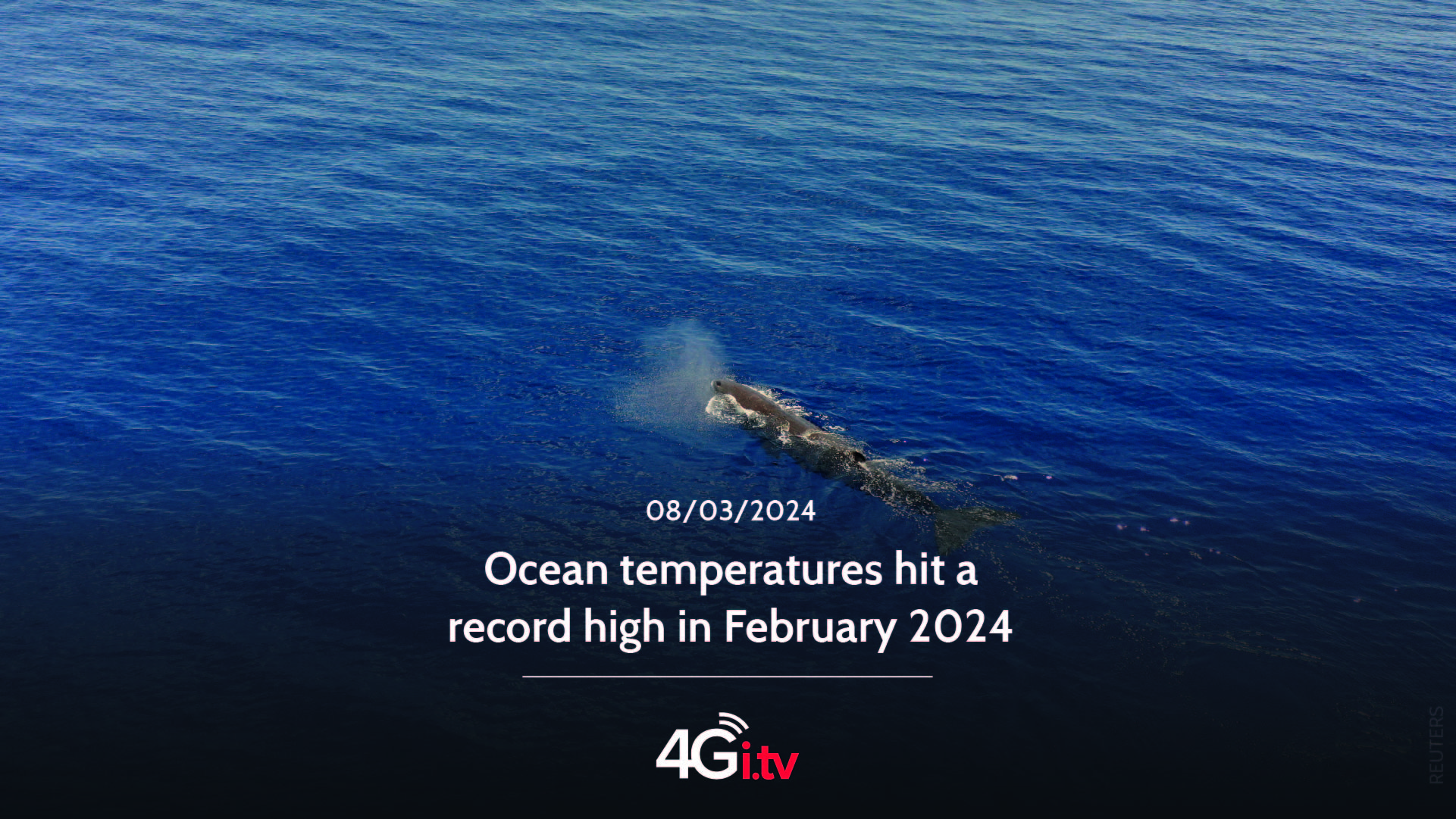 Подробнее о статье Ocean temperatures hit a record high in February 2024 