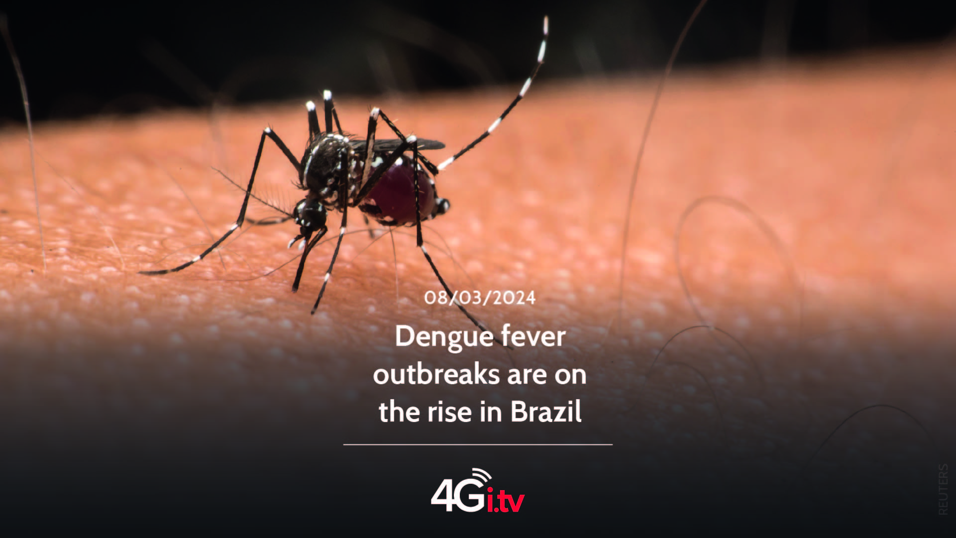 Lee más sobre el artículo Dengue fever outbreaks are on the rise in Brazil