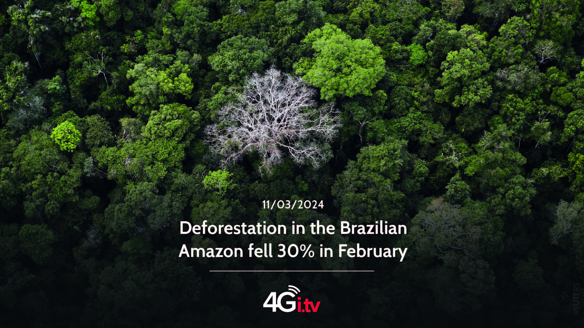 Read more about the article Deforestation in the Brazilian Amazon fell 30% in February 