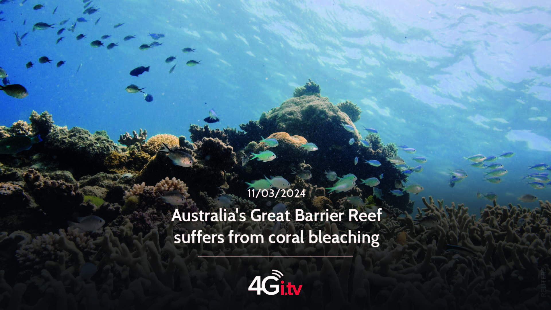Read more about the article Australia’s Great Barrier Reef suffers from coral bleaching