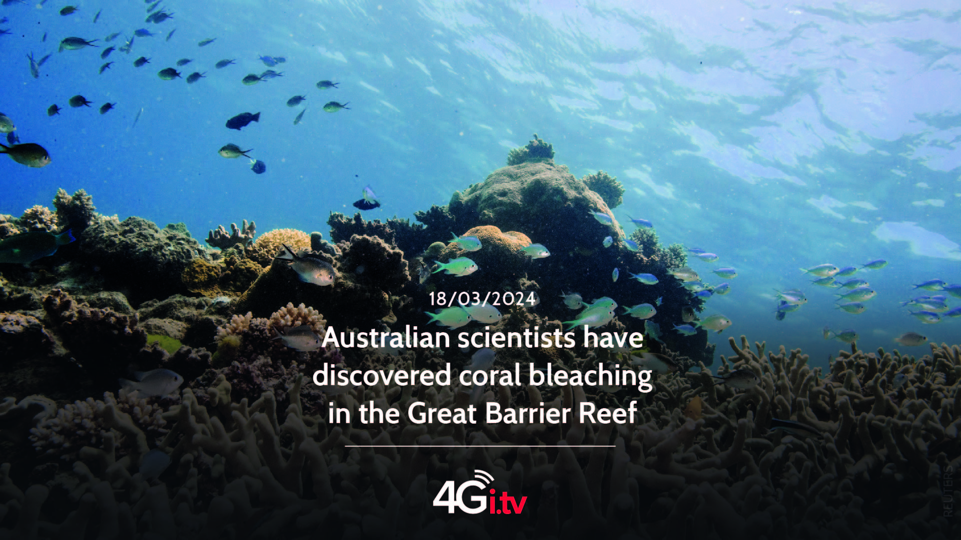 Подробнее о статье Australian scientists have discovered coral bleaching in the Great Barrier Reef 