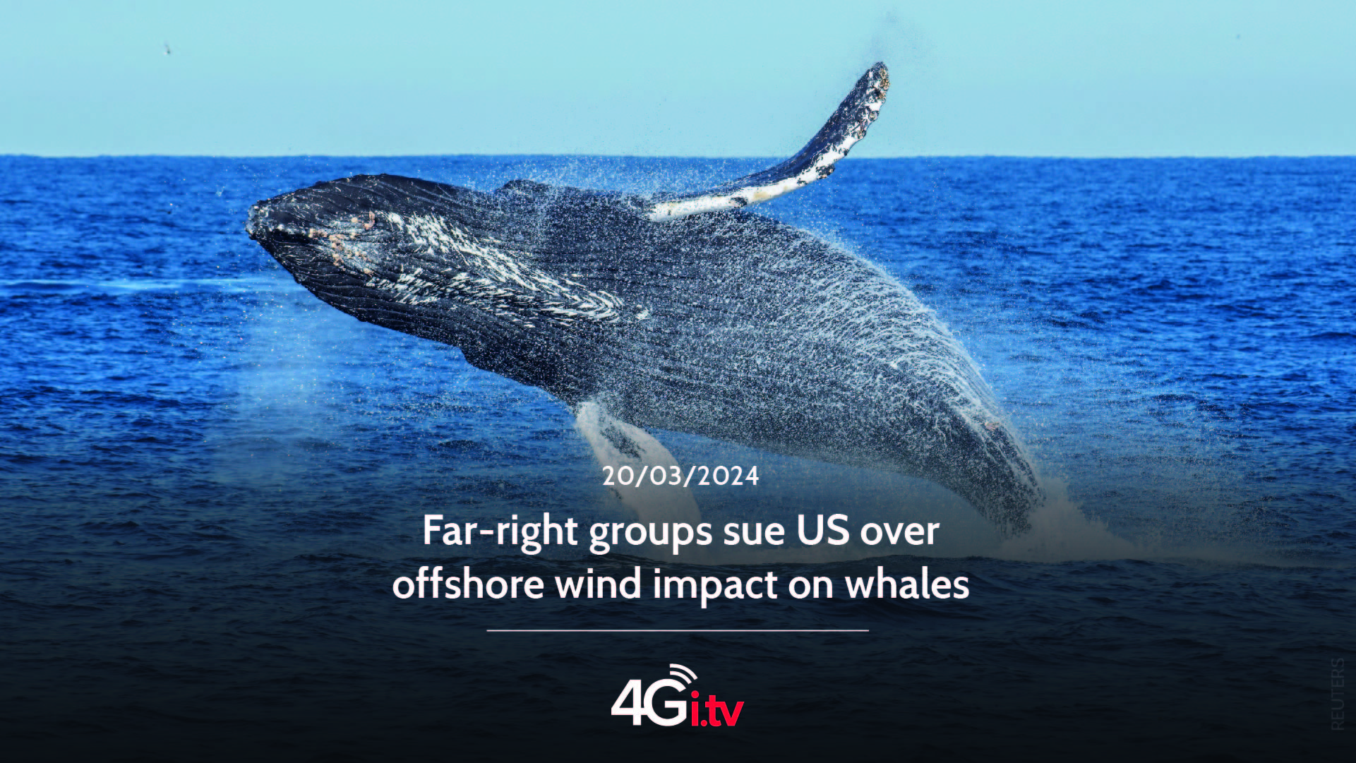 Подробнее о статье Far-right groups sue US over offshore wind impact on whales
