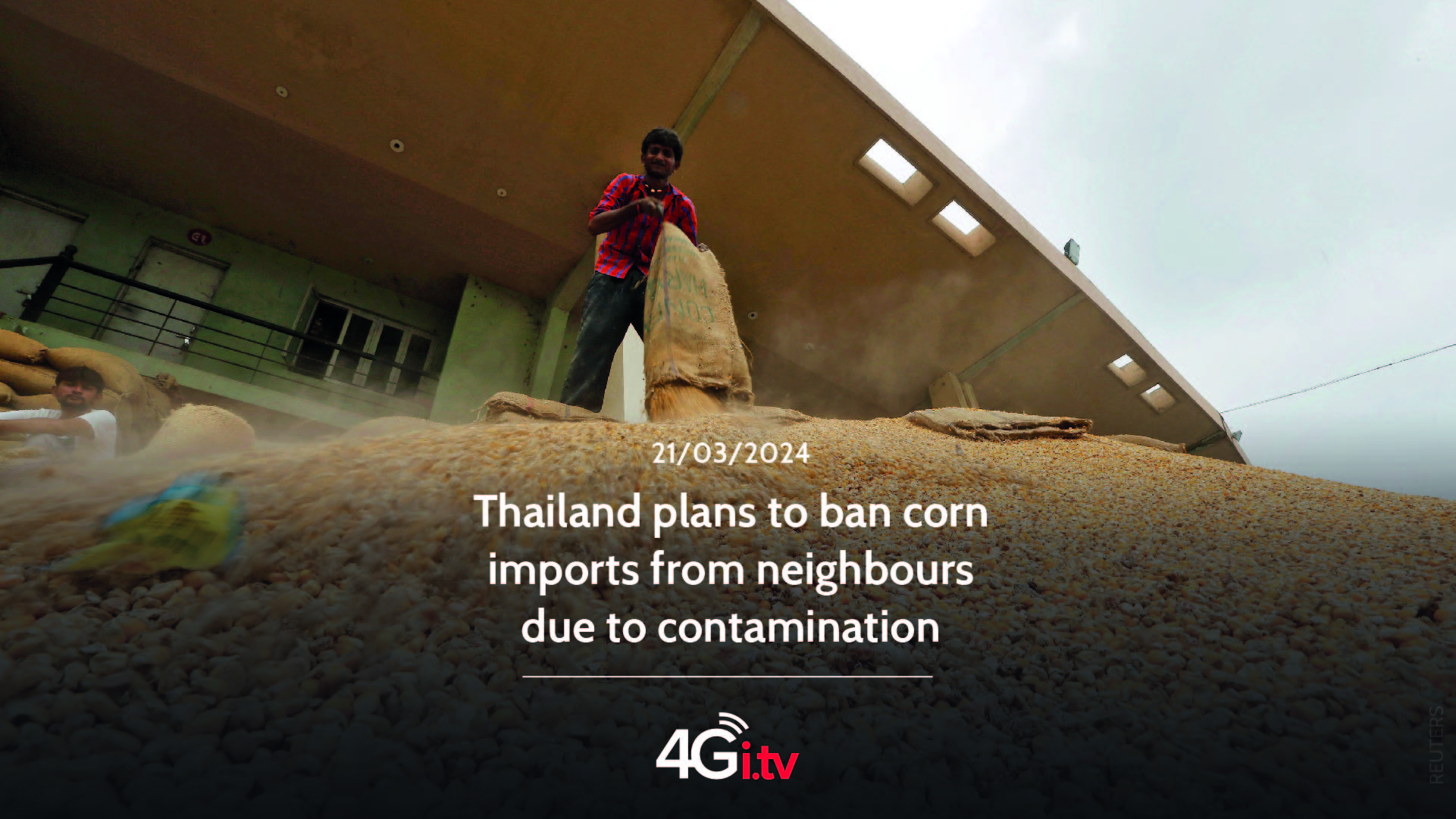 Lesen Sie mehr über den Artikel Thailand plans to ban corn imports from neighbours due to contamination