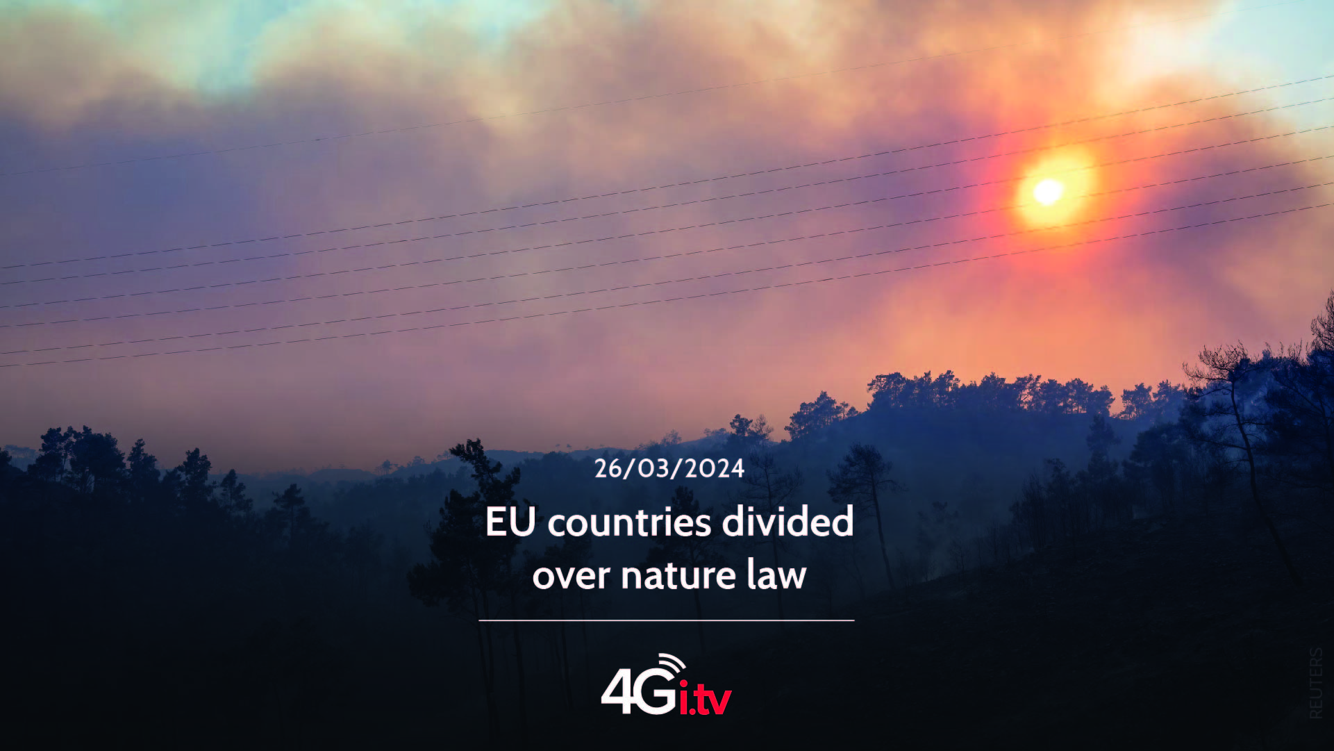 Lee más sobre el artículo EU countries divided over nature law