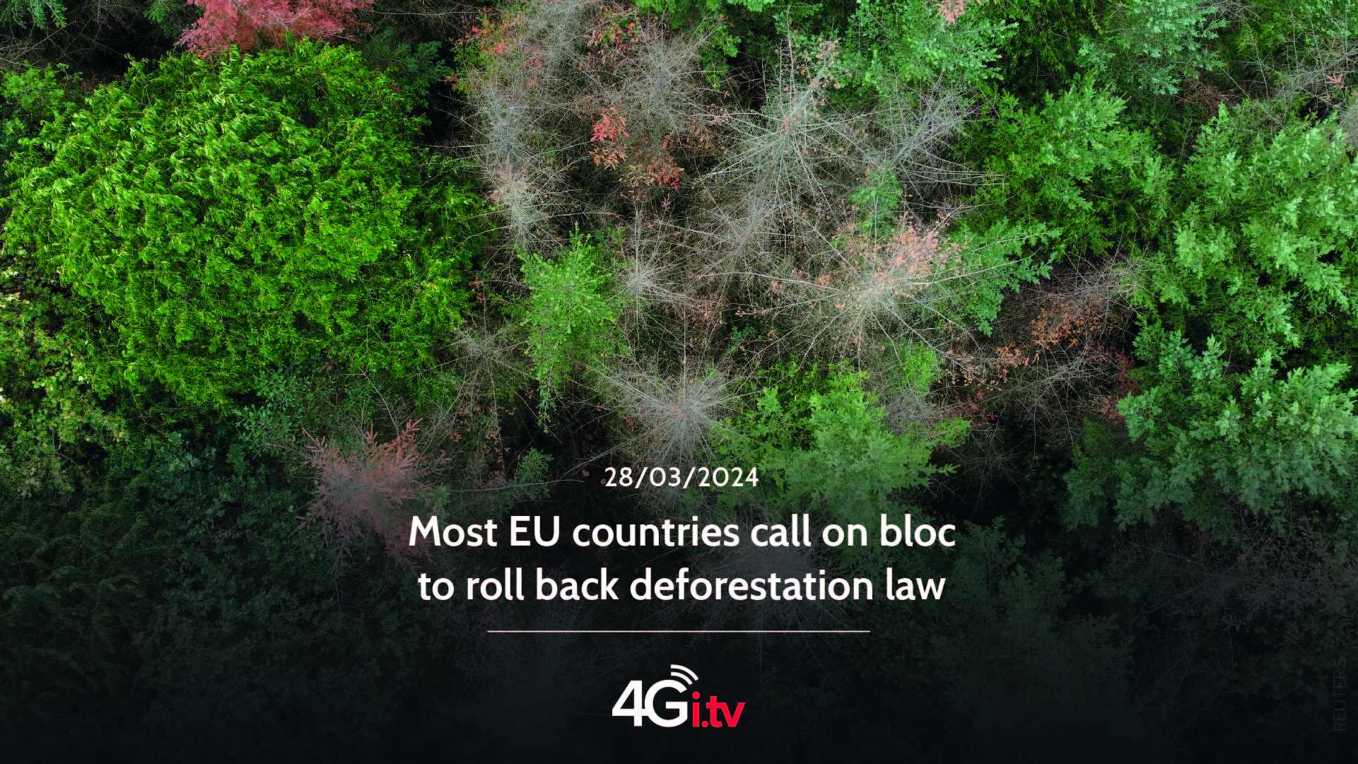 Lesen Sie mehr über den Artikel Most EU countries call on bloc to roll back deforestation law