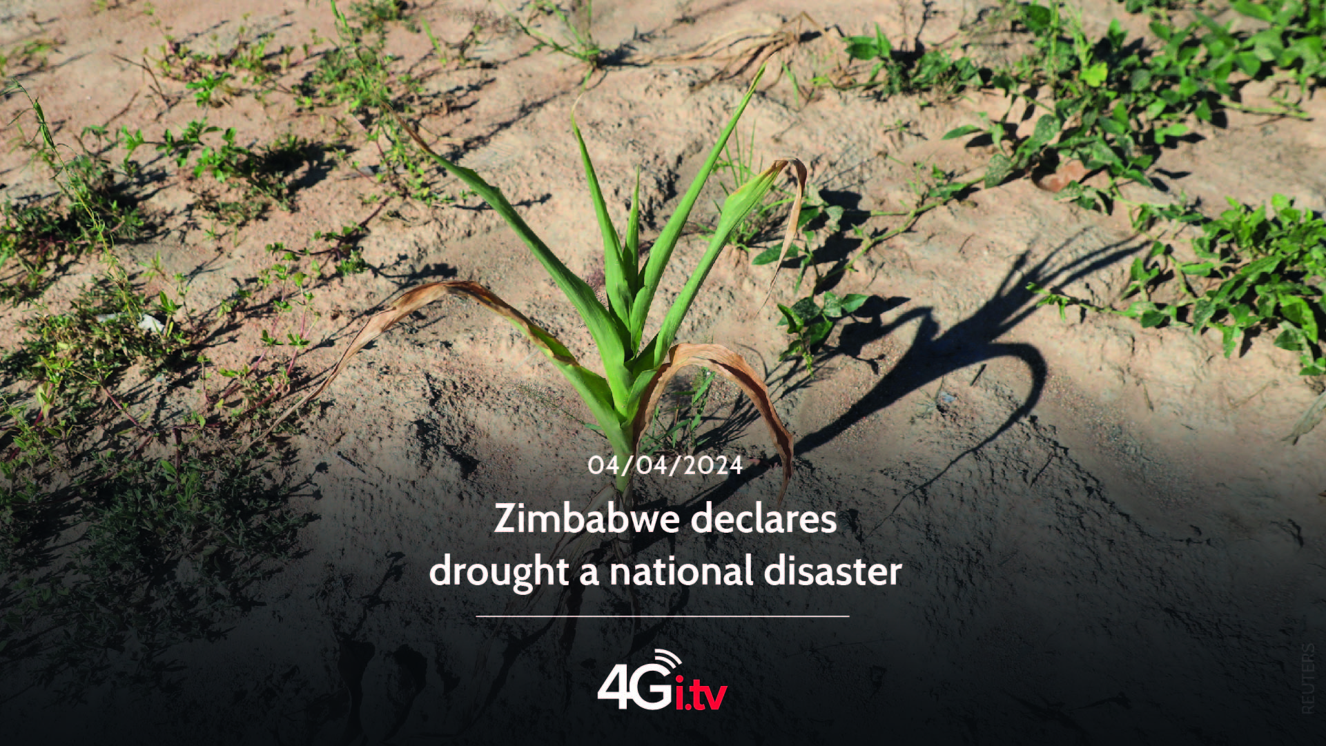 Lesen Sie mehr über den Artikel Zimbabwe declares drought a national disaster 
