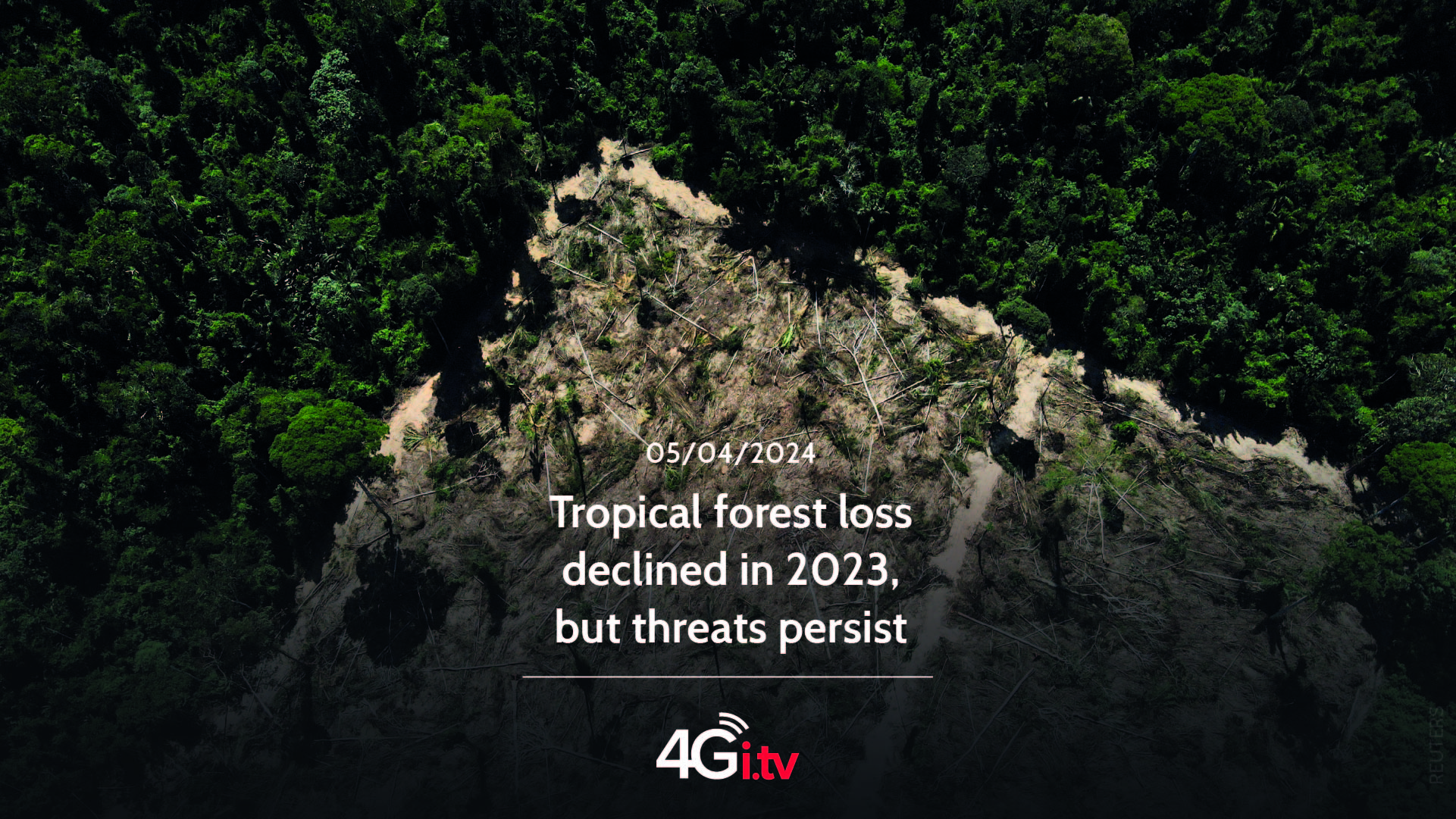 Подробнее о статье Tropical forest loss declined in 2023, but threats persist