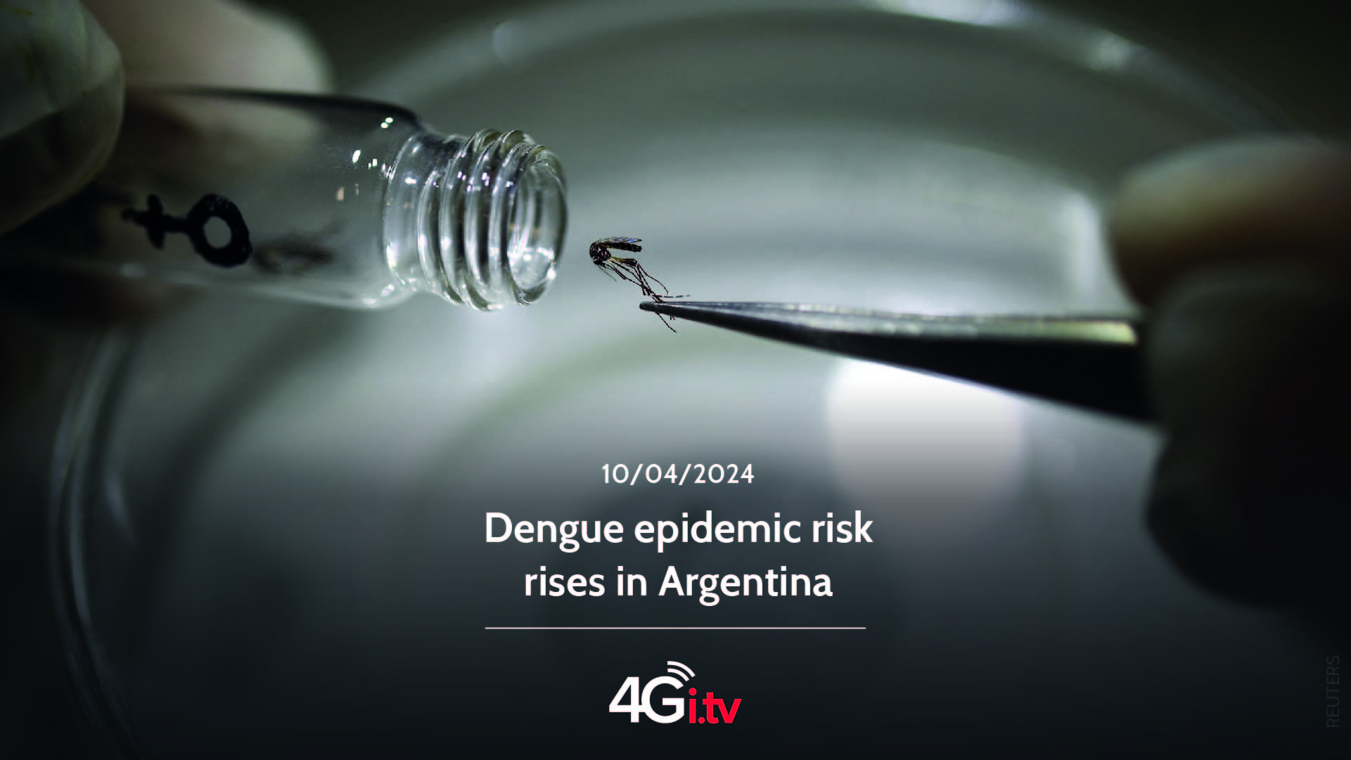 Lesen Sie mehr über den Artikel Dengue epidemic risk rises in Argentina