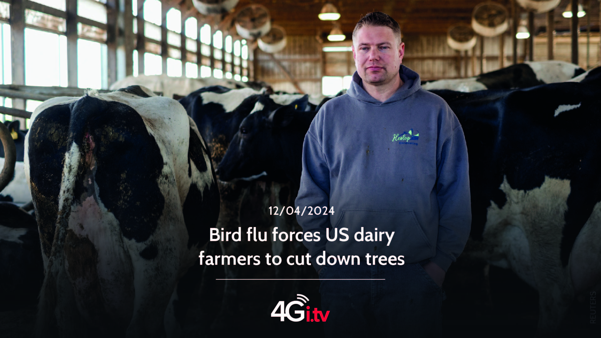 Lee más sobre el artículo Bird flu forces US dairy farmers to cut down trees