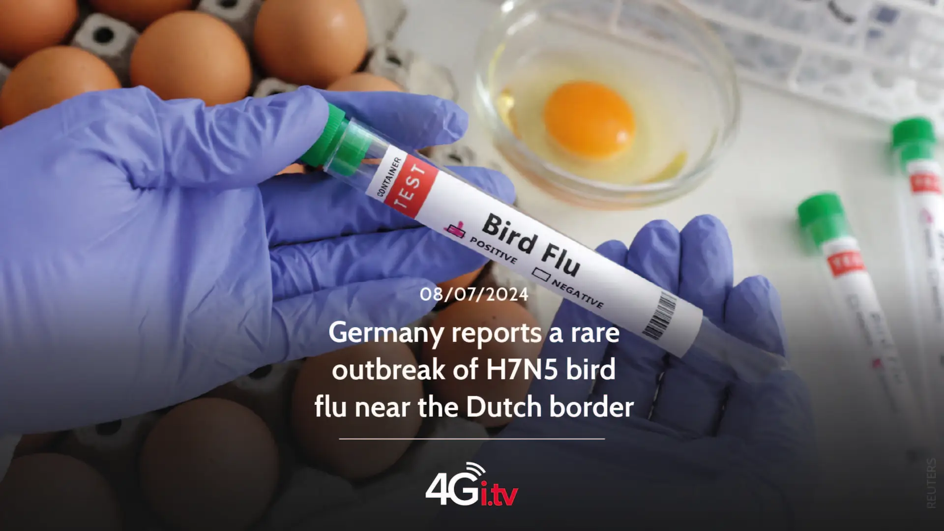 Lesen Sie mehr über den Artikel Germany reports a rare outbreak of H7N5 bird flu near the Dutch border