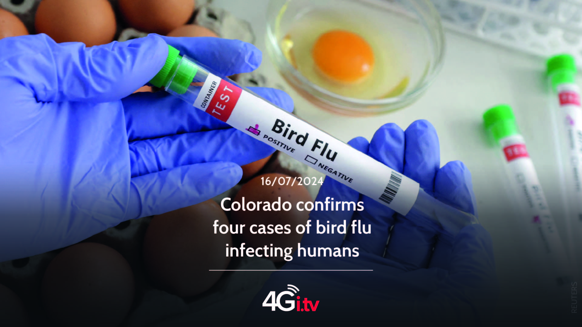 Lesen Sie mehr über den Artikel Colorado confirms four cases of bird flu infecting humans