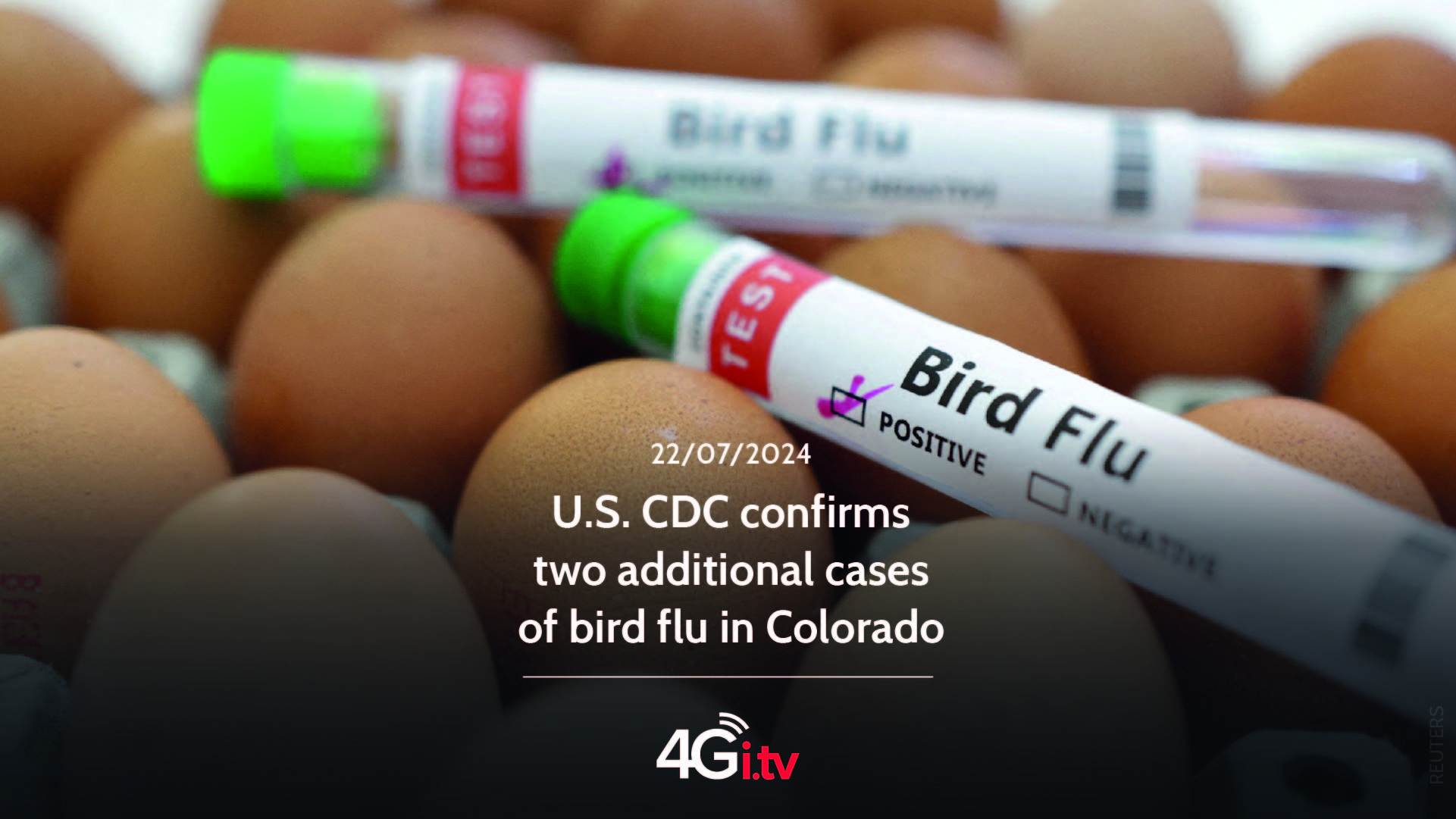 Read more about the article U.S. CDC confirms two additional cases of bird flu in Colorado