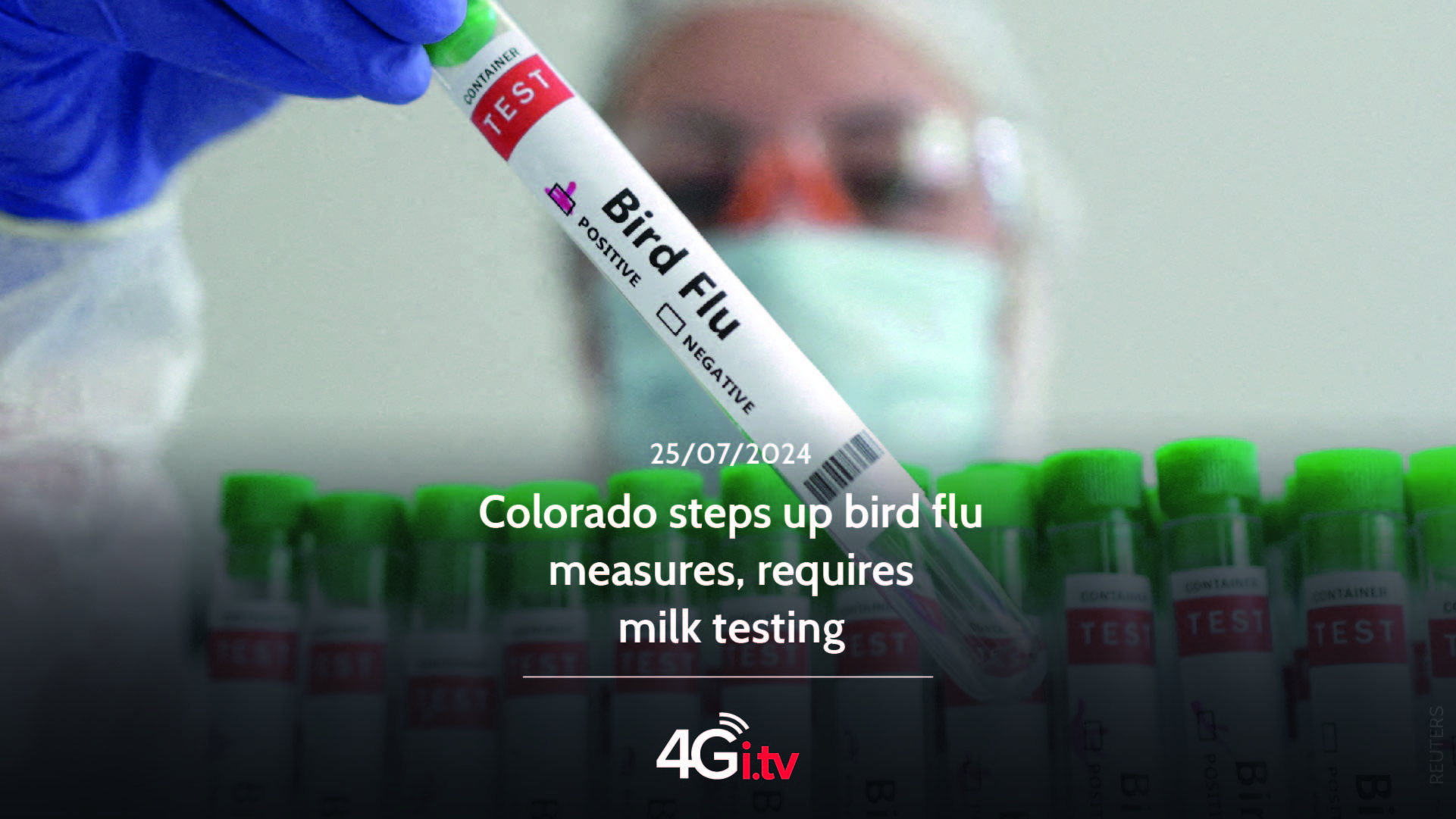 Подробнее о статье Colorado steps up bird flu measures, requires milk testing