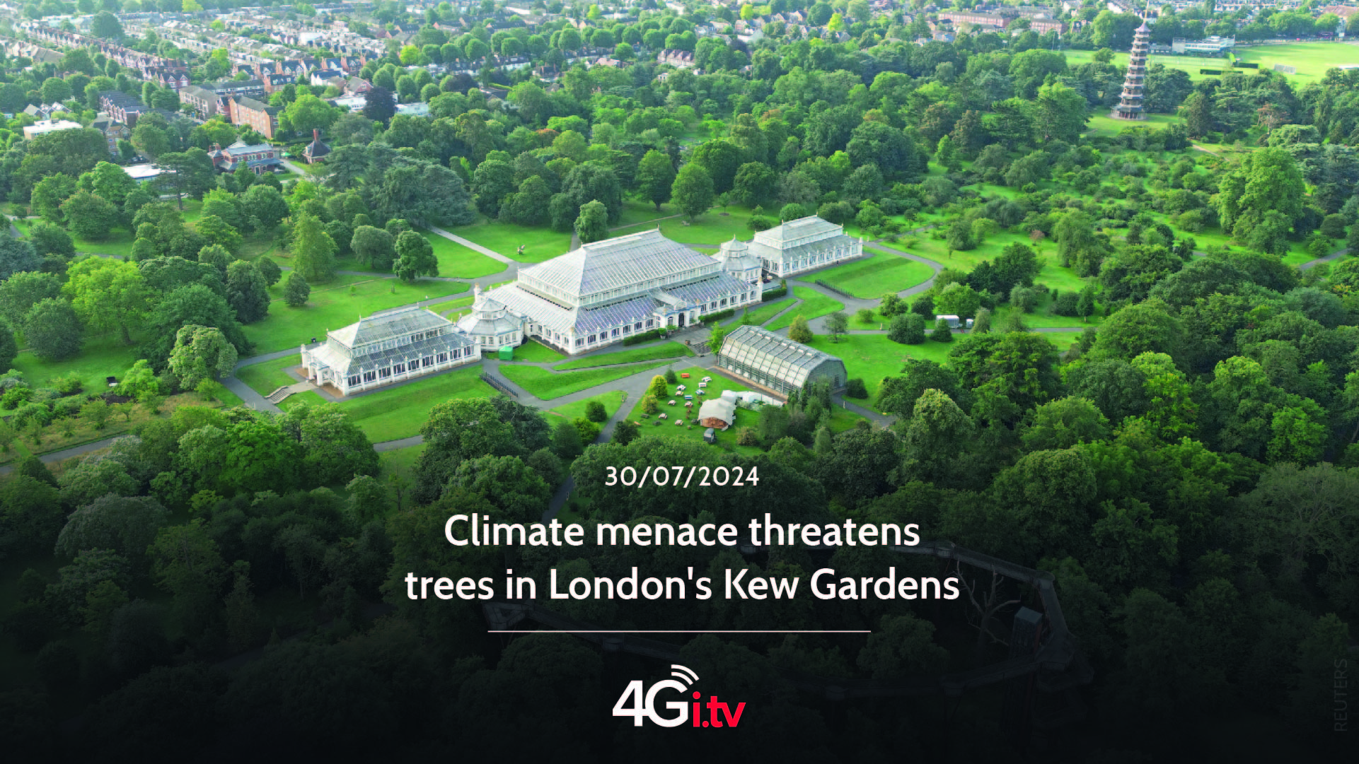 Read more about the article Climate menace threatens trees in London’s Kew Gardens