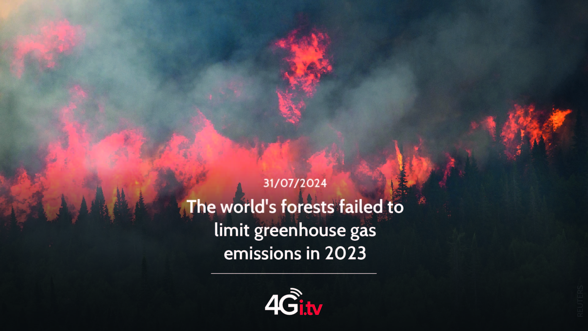 Подробнее о статье The world’s forests failed to limit greenhouse gas emissions in 2023