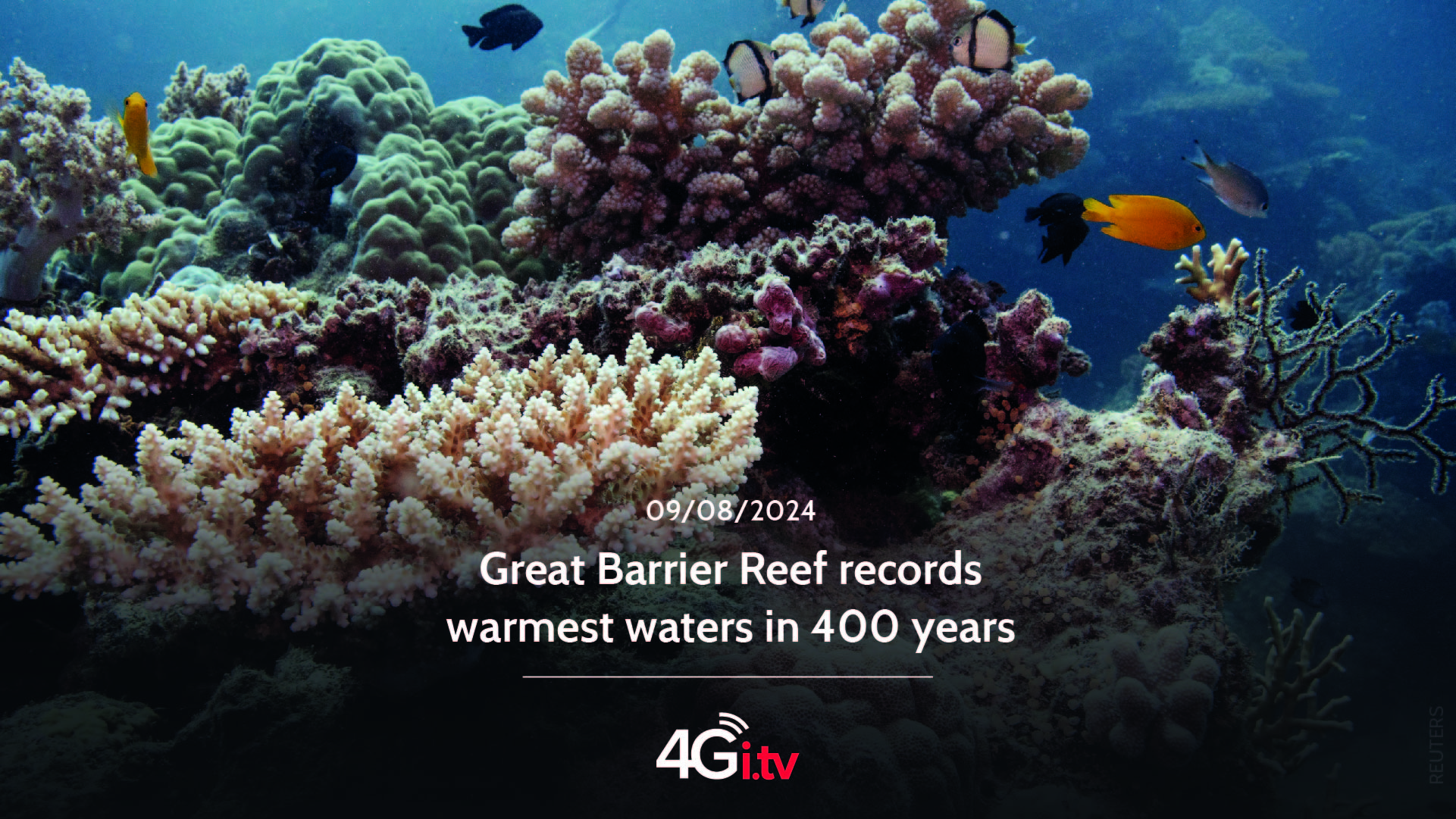 Подробнее о статье Great Barrier Reef records warmest waters in 400 years