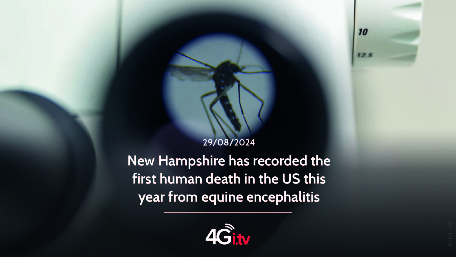 Lee más sobre el artículo New Hampshire has recorded the first human death in the US this year from equine encephalitis