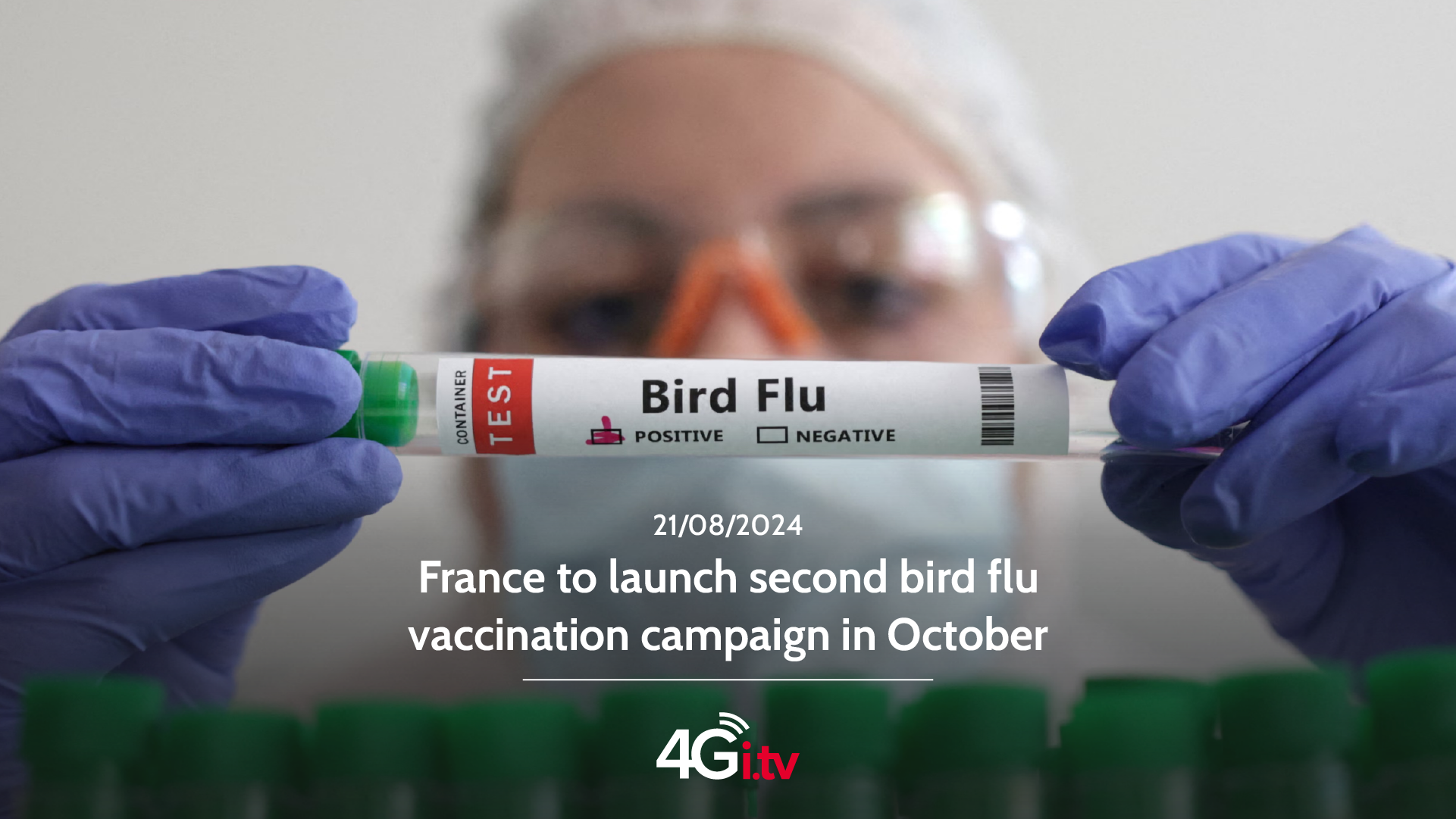 Lee más sobre el artículo France to launch second bird flu vaccination campaign in October