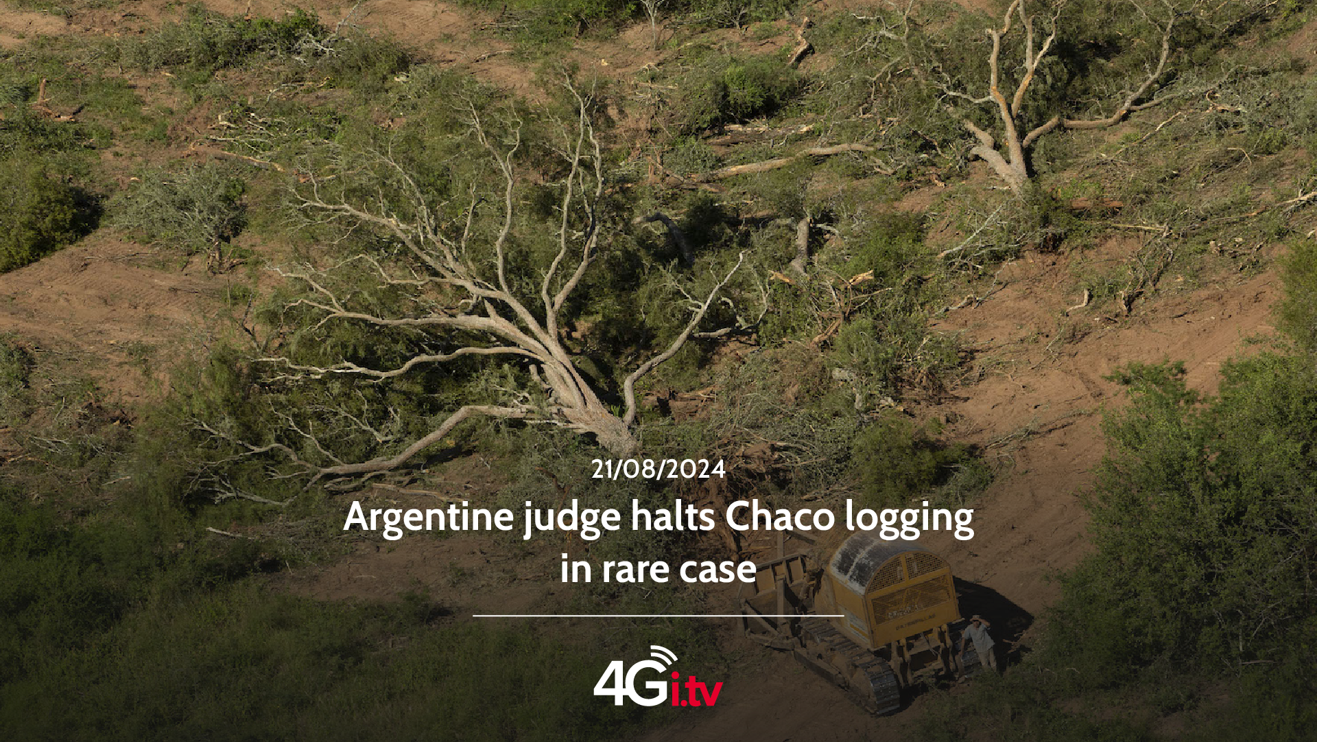 Lee más sobre el artículo Argentine judge halts Chaco logging in rare case