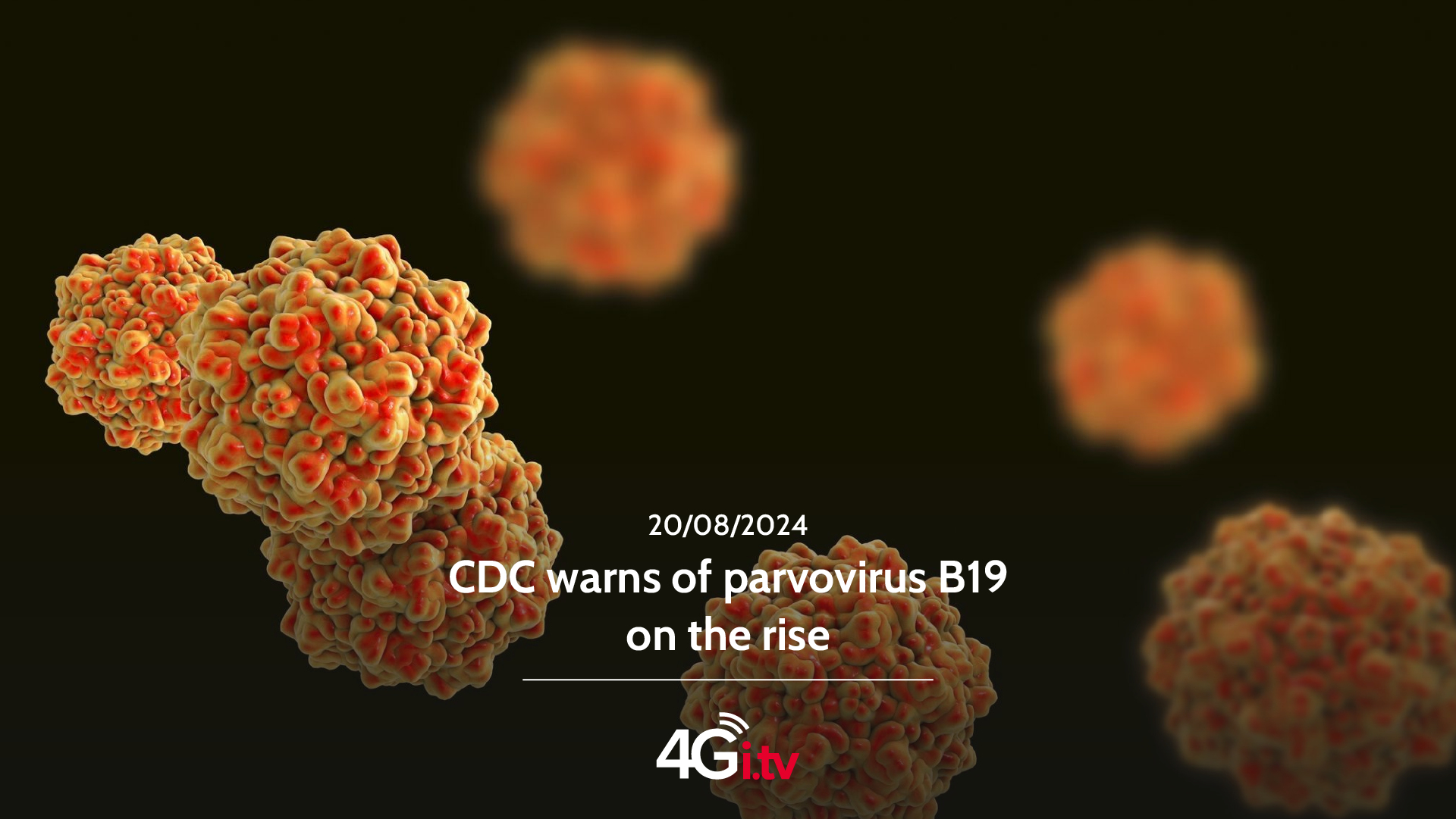 Lee más sobre el artículo CDC warns of parvovirus B19 on the rise