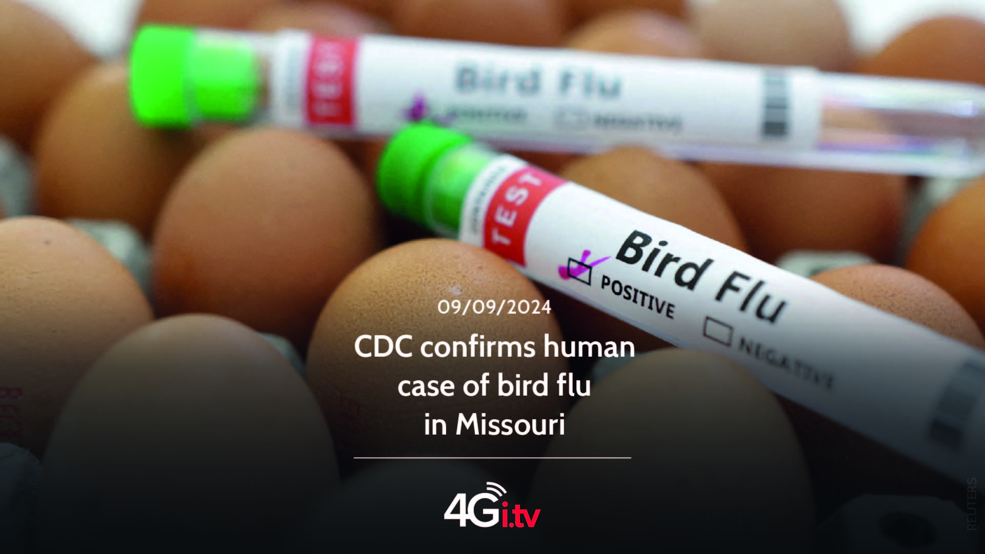 Подробнее о статье CDC confirms human case of bird flu in Missouri