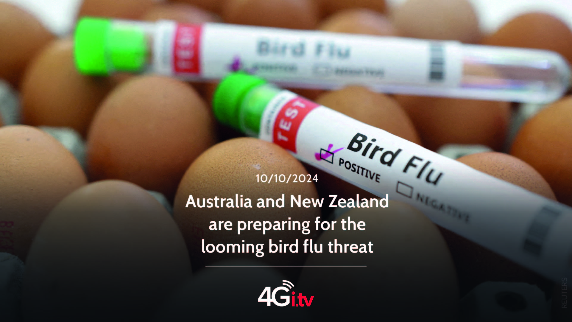 Read more about the article Australia and New Zealand are preparing for the looming bird flu threat