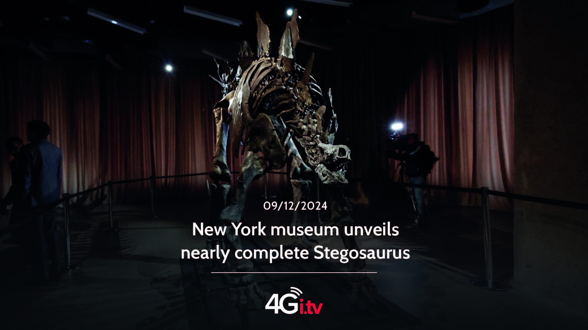 Lesen Sie mehr über den Artikel New York museum unveils nearly complete Stegosaurus