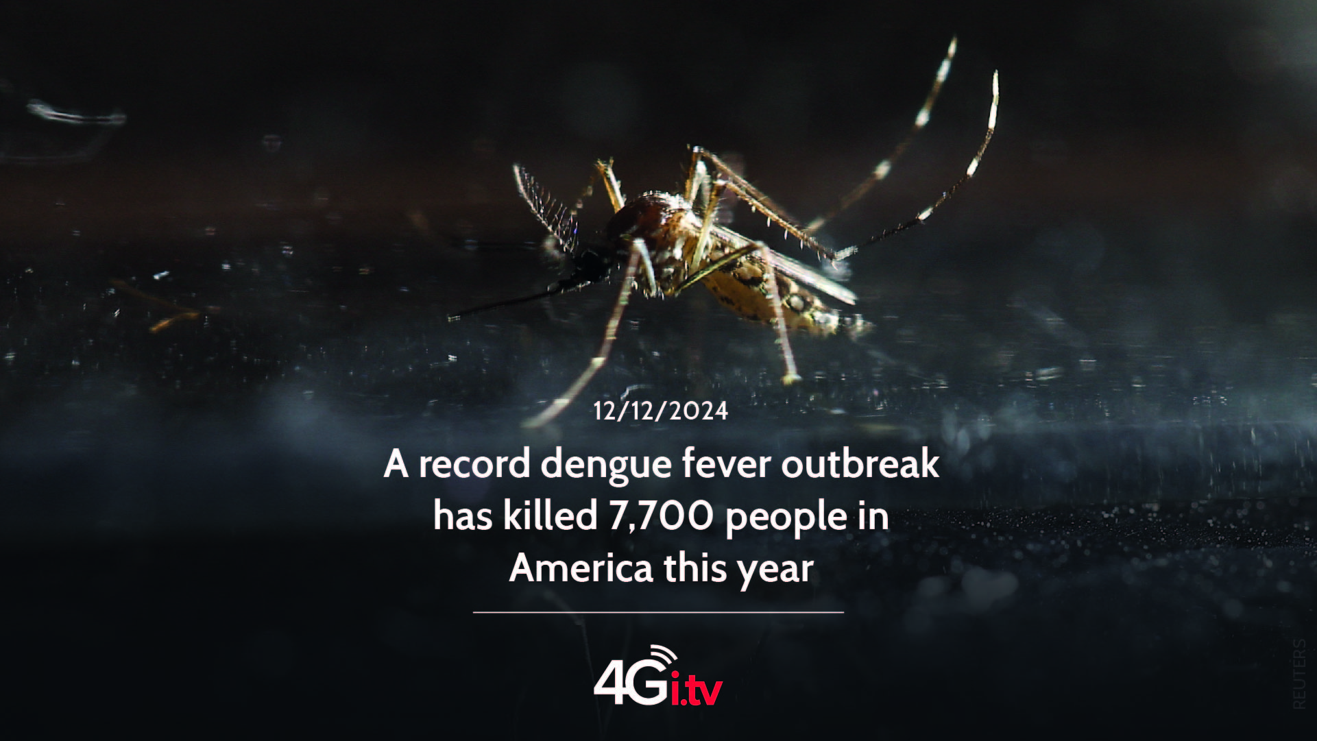 Read more about the article A record dengue fever outbreak has killed 7,700 people in America this year